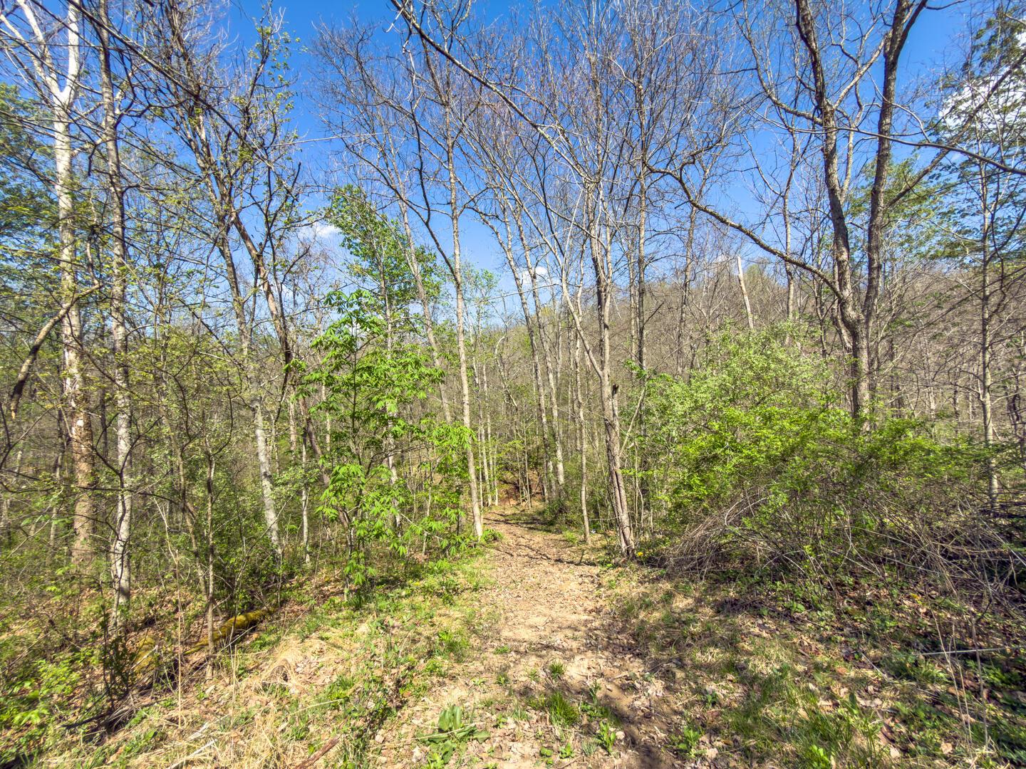 5235 Pounds Road