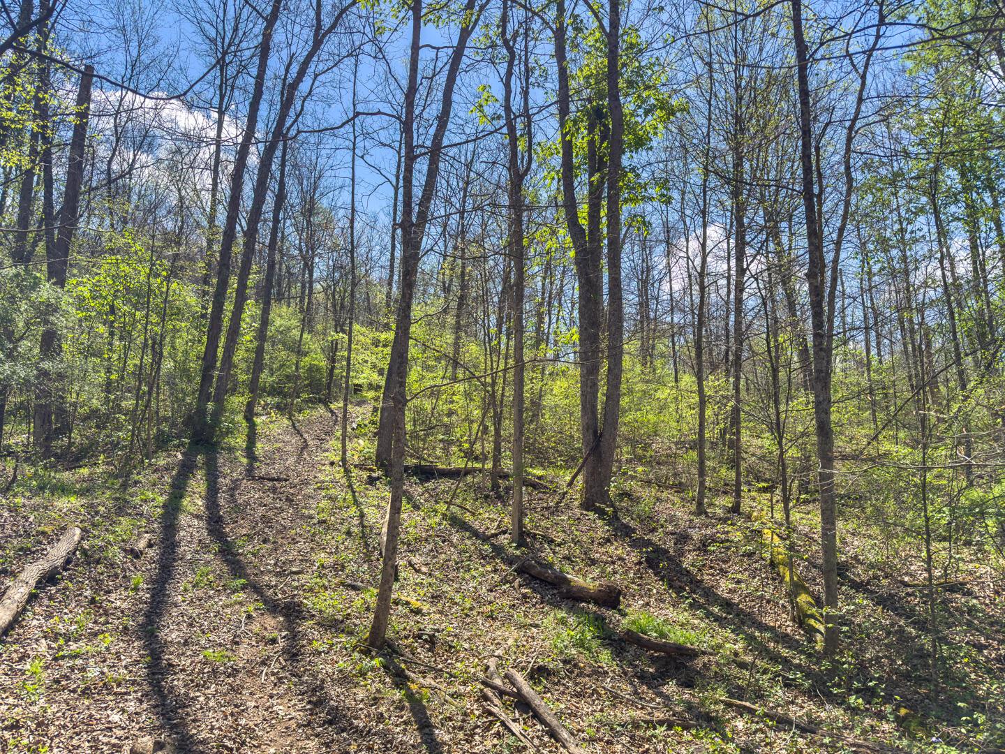 5235 Pounds Road