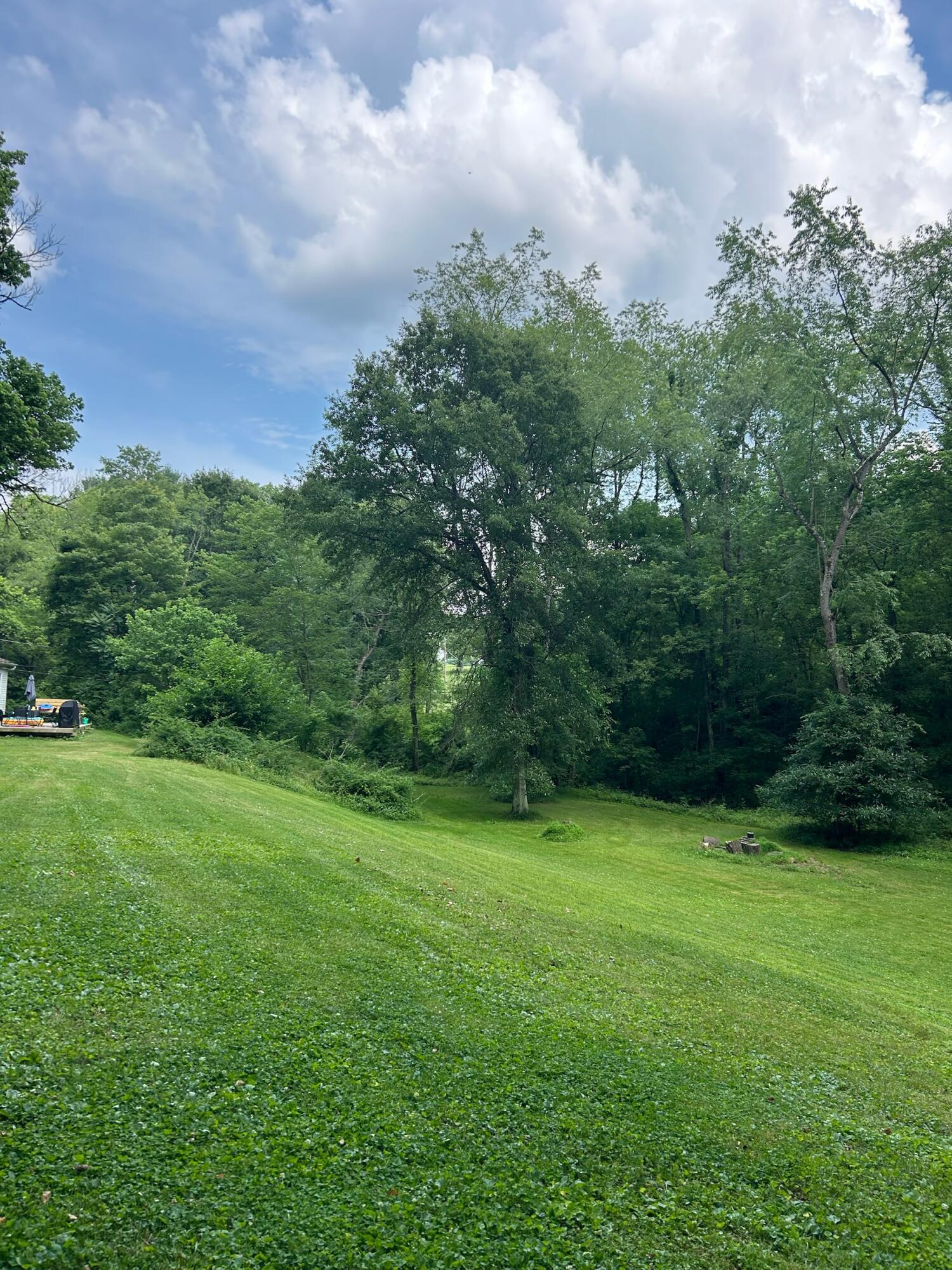 10432 Wilkins Run Road, Newark, Ohio image 47