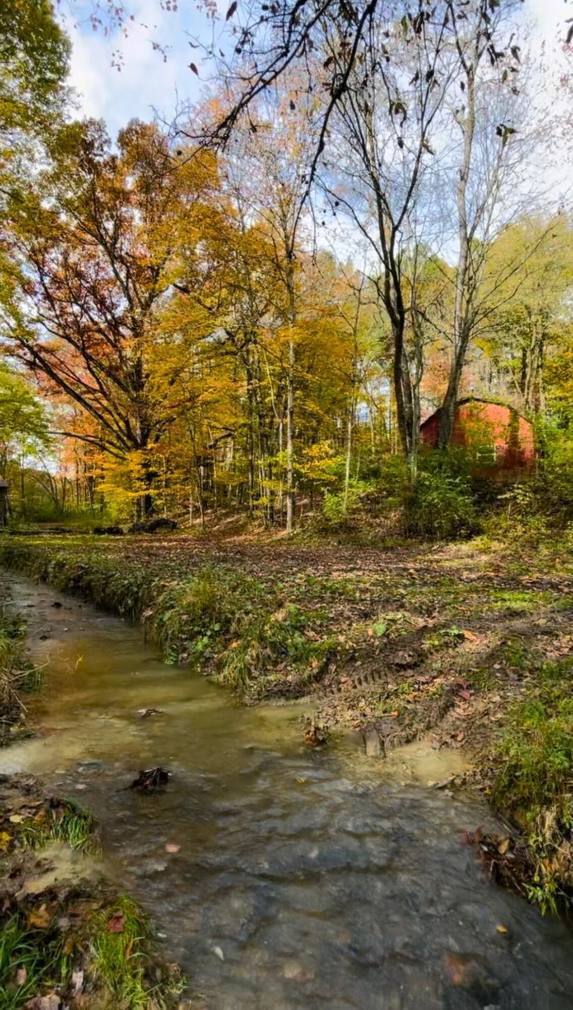 10432 Wilkins Run Road, Newark, Ohio image 12