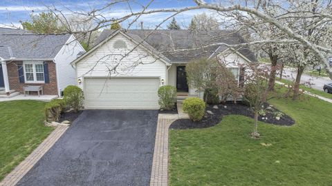 Photo of 4842 Dameuly Drive, Hilliard, OH 43026 (MLS # 226010685)