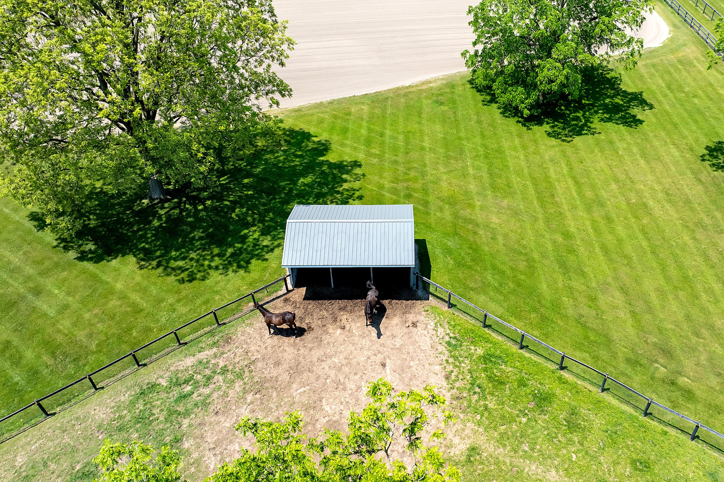 Centerburg, Ohio, 43011, United States, 4 Bedrooms Bedrooms, ,3 BathroomsBathrooms,Residential,Contingent,2052110