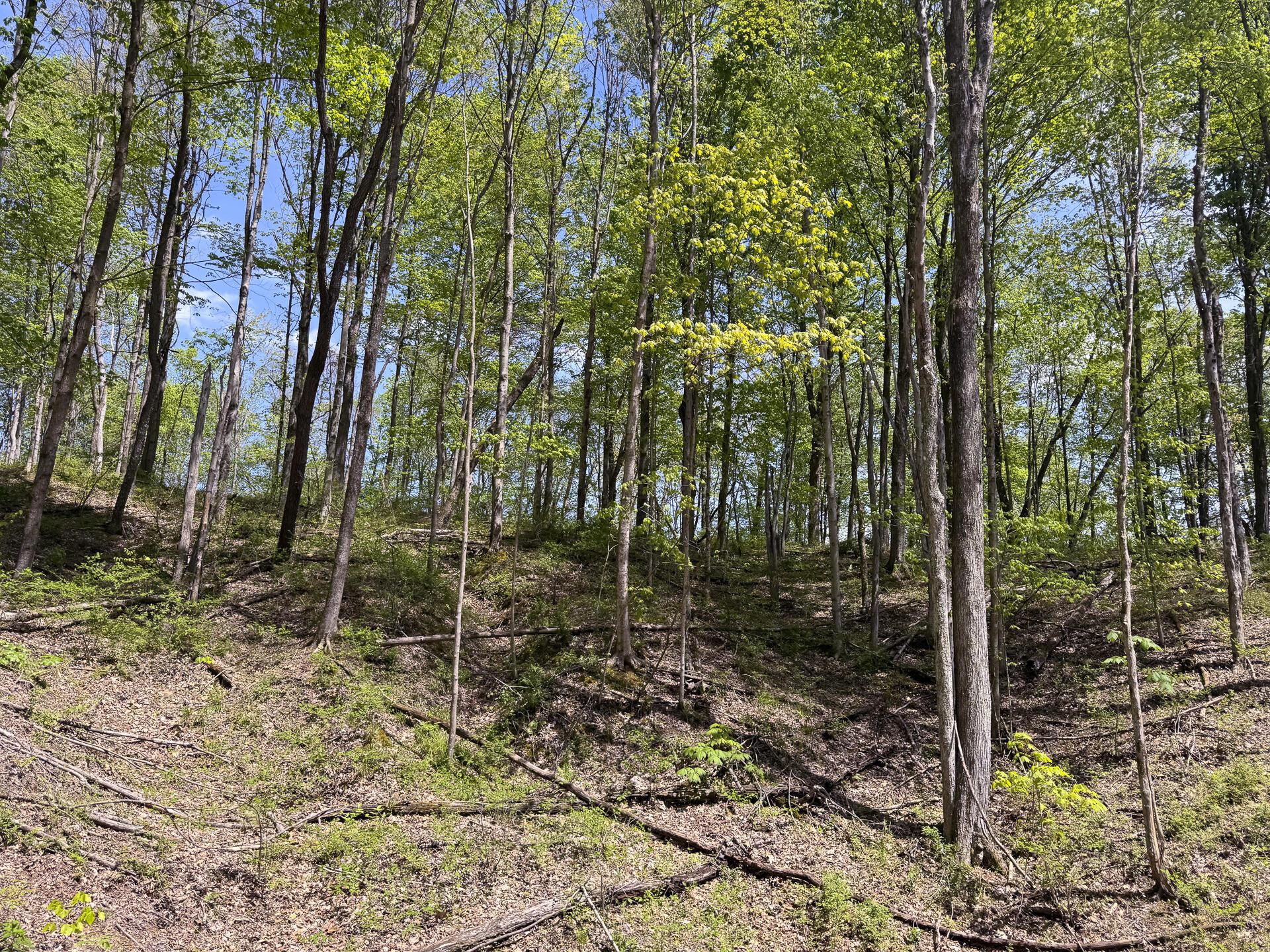 Township Rd 215-a #TRACT 8 AT SHAWNEE WOODS, Corning, Ohio image 32