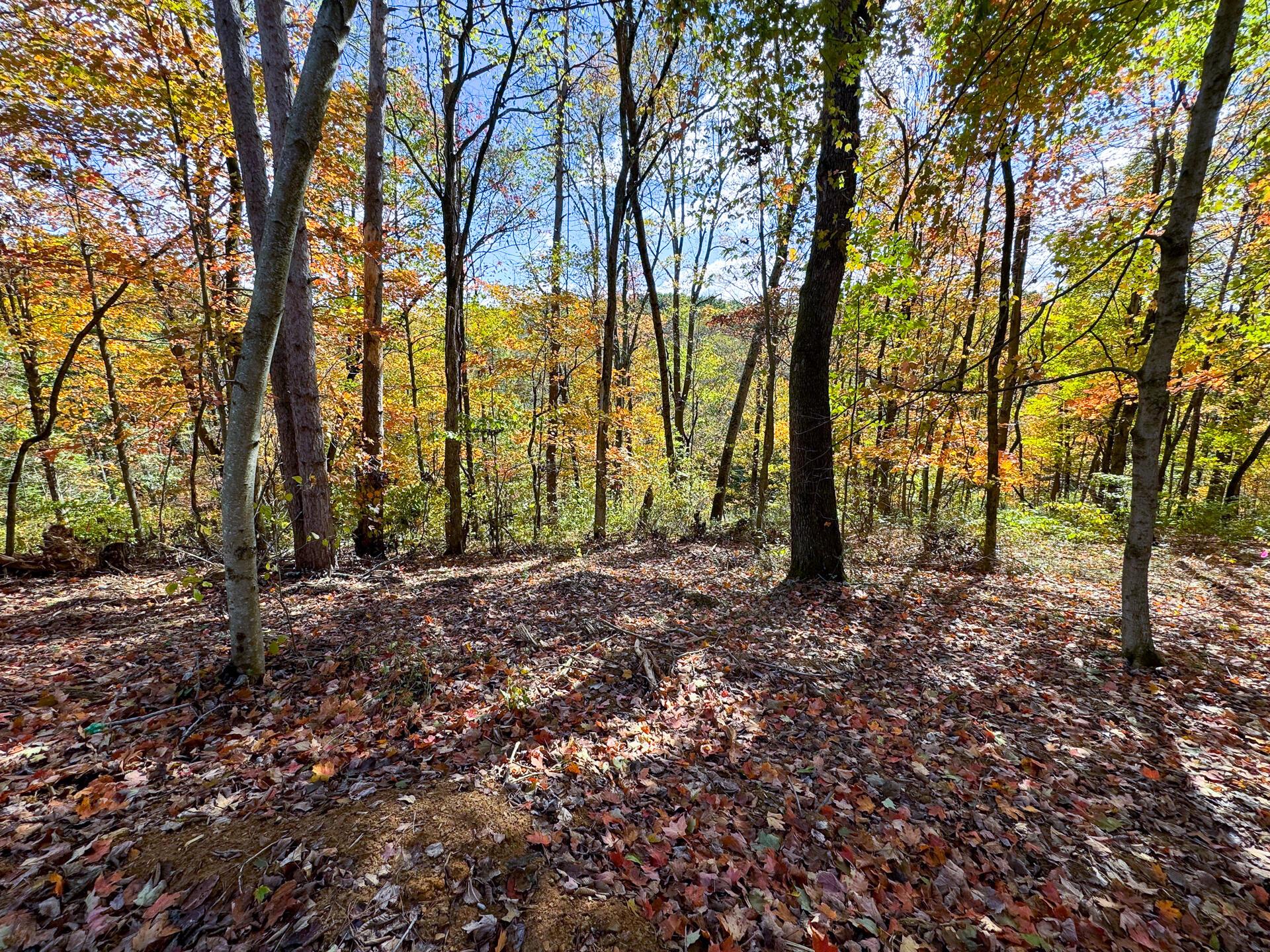 Township Rd 215-a #TRACT 8 AT SHAWNEE WOODS, Corning, Ohio image 25