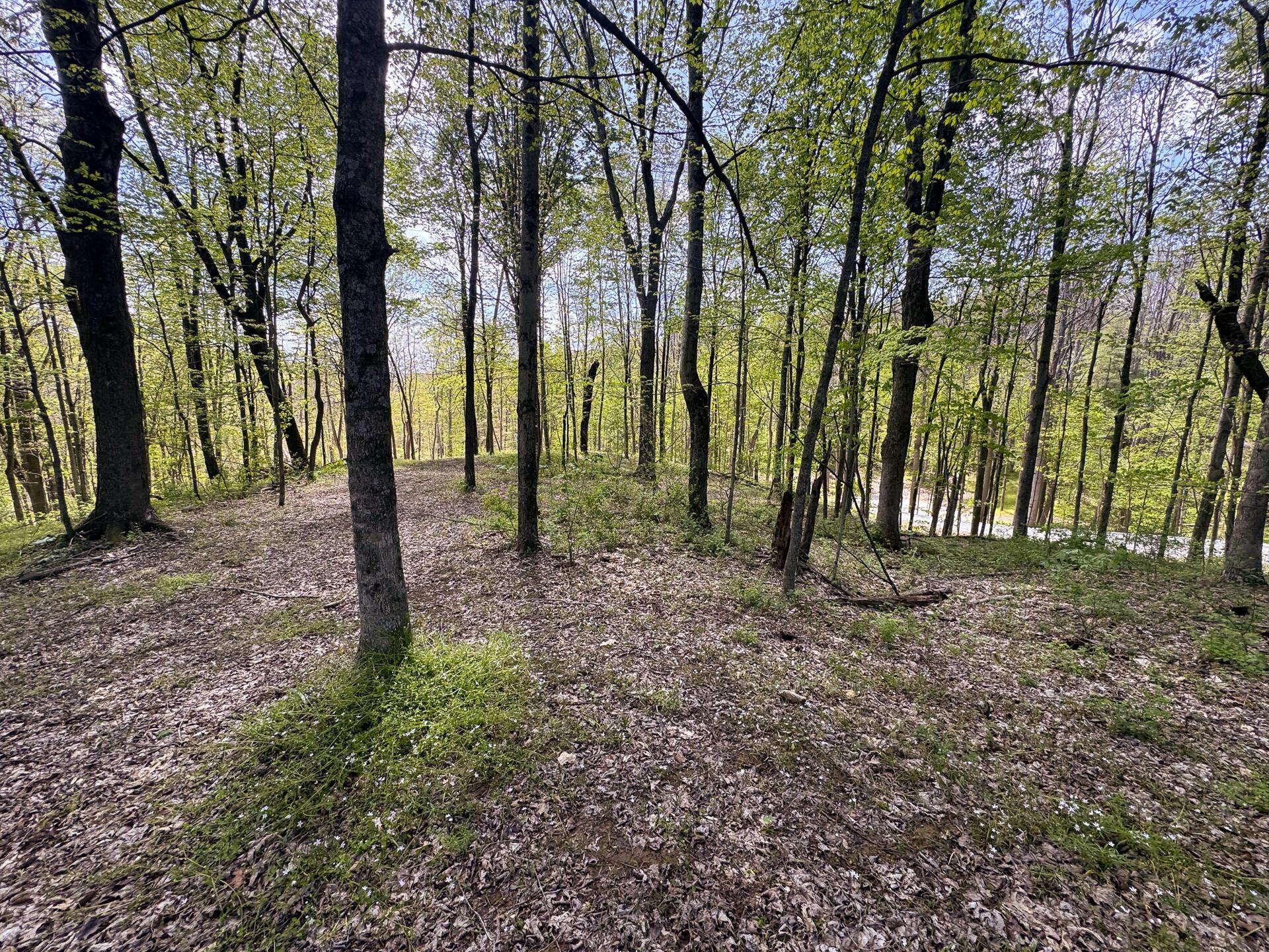Township Rd 215-a #TRACT 8 AT SHAWNEE WOODS, Corning, Ohio image 37