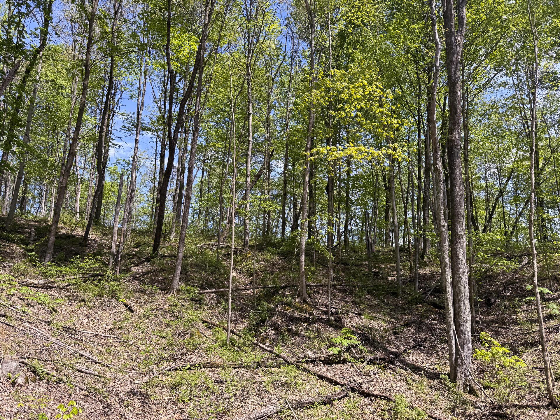 Township Rd 215-a #TRACT 8 AT SHAWNEE WOODS, Corning, Ohio image 6