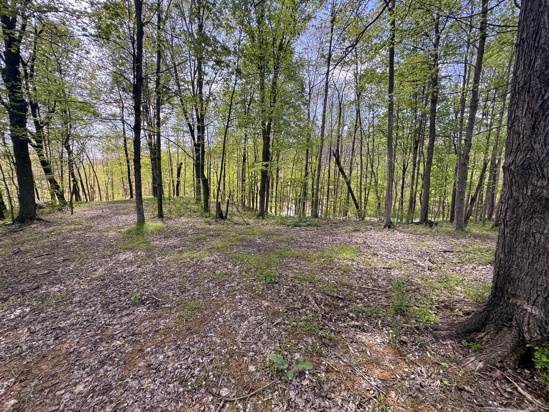 Township Rd 215-a #TRACT 8 AT SHAWNEE WOODS, Corning, Ohio image 14