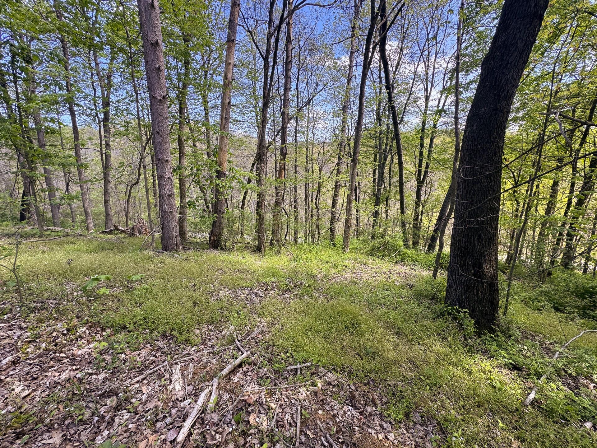 Township Rd 215-a #TRACT 8 AT SHAWNEE WOODS, Corning, Ohio image 16