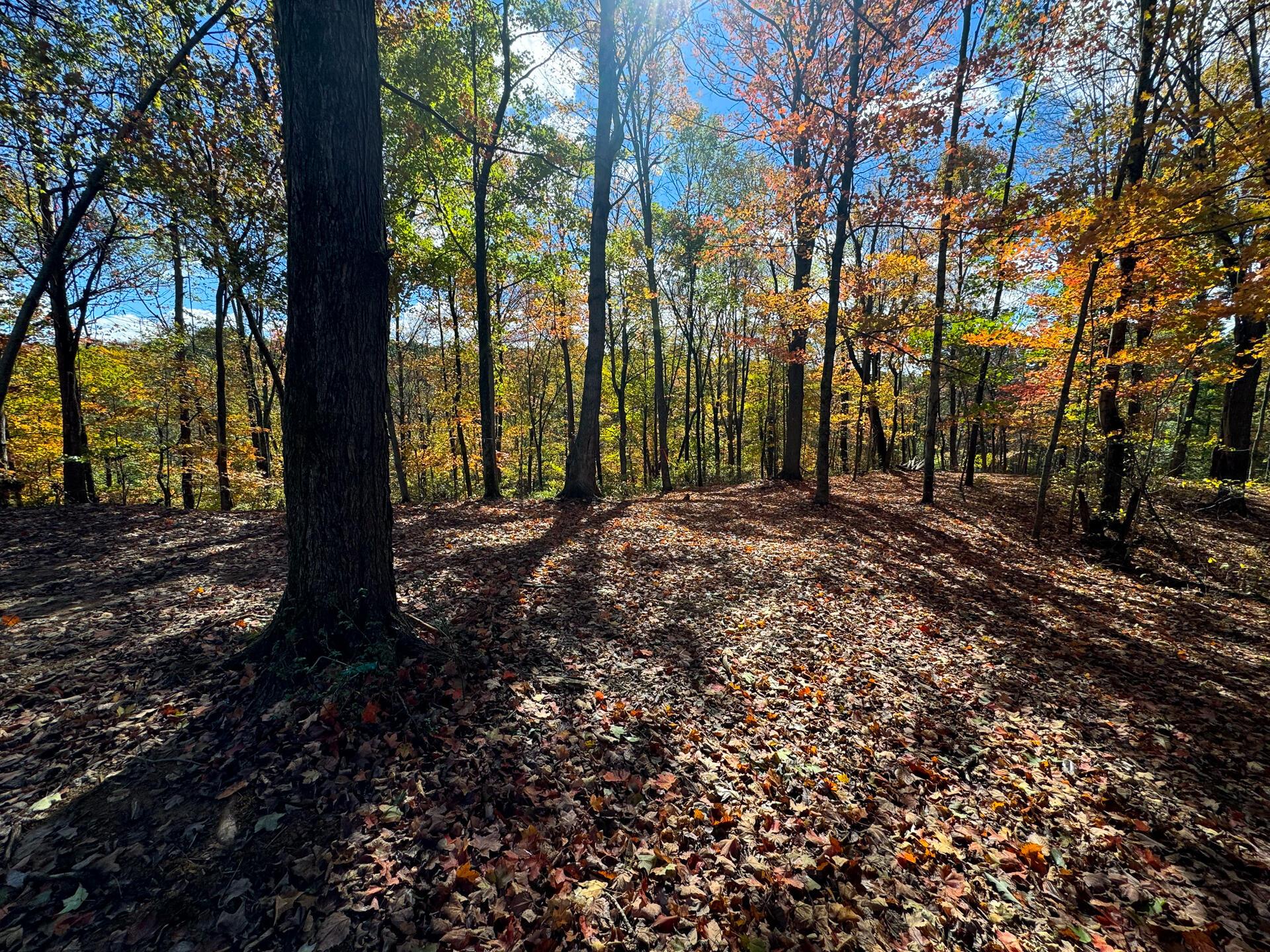 Township Rd 215-a #TRACT 8 AT SHAWNEE WOODS, Corning, Ohio image 4