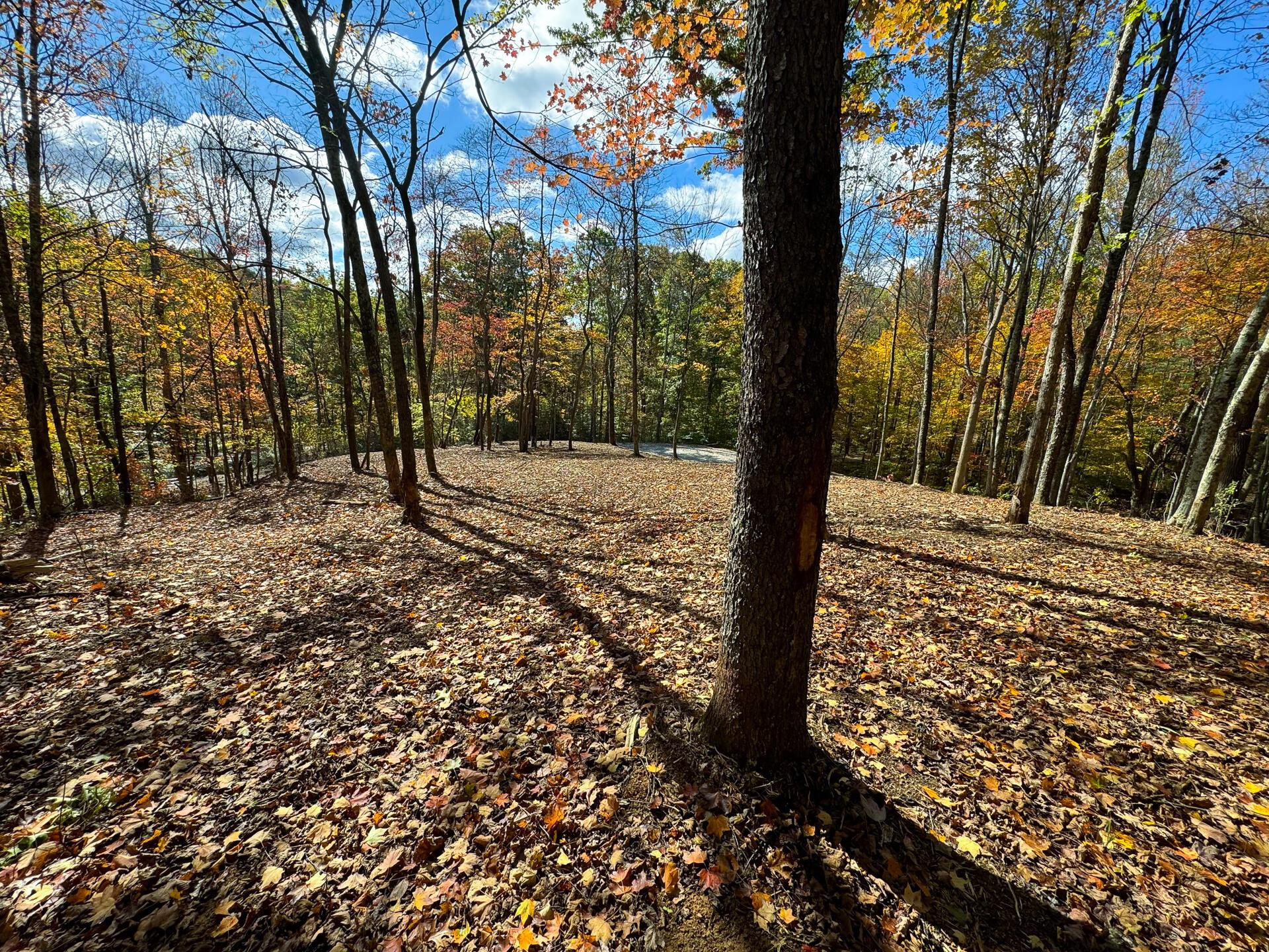 Township Rd 215-a #TRACT 8 AT SHAWNEE WOODS, Corning, Ohio image 5