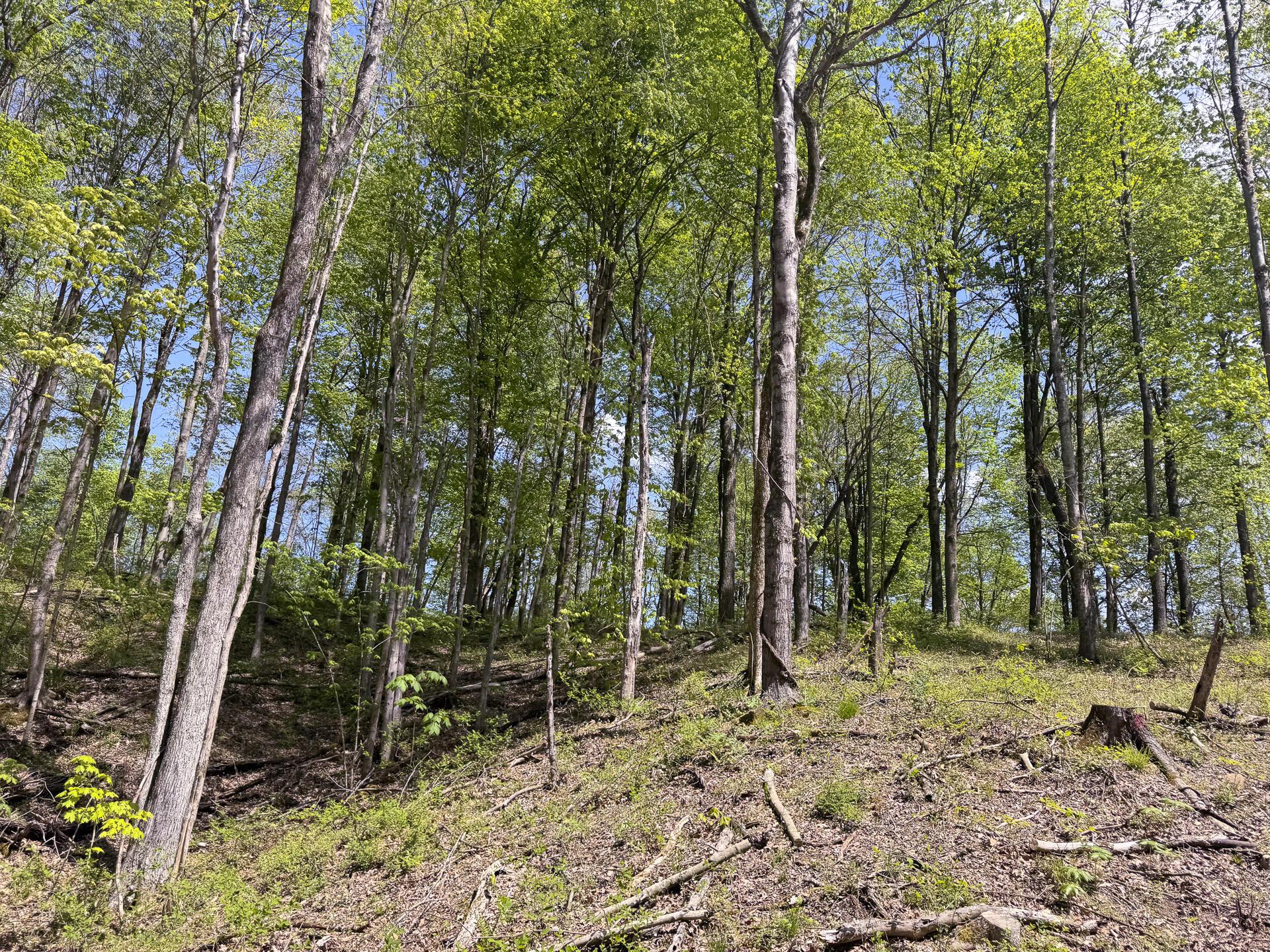 Township Rd 215-a #TRACT 8 AT SHAWNEE WOODS, Corning, Ohio image 33