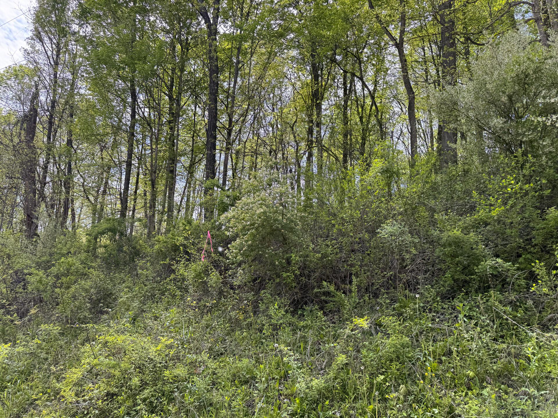 Township Rd 215-a #TRACT 8 AT SHAWNEE WOODS, Corning, Ohio image 19