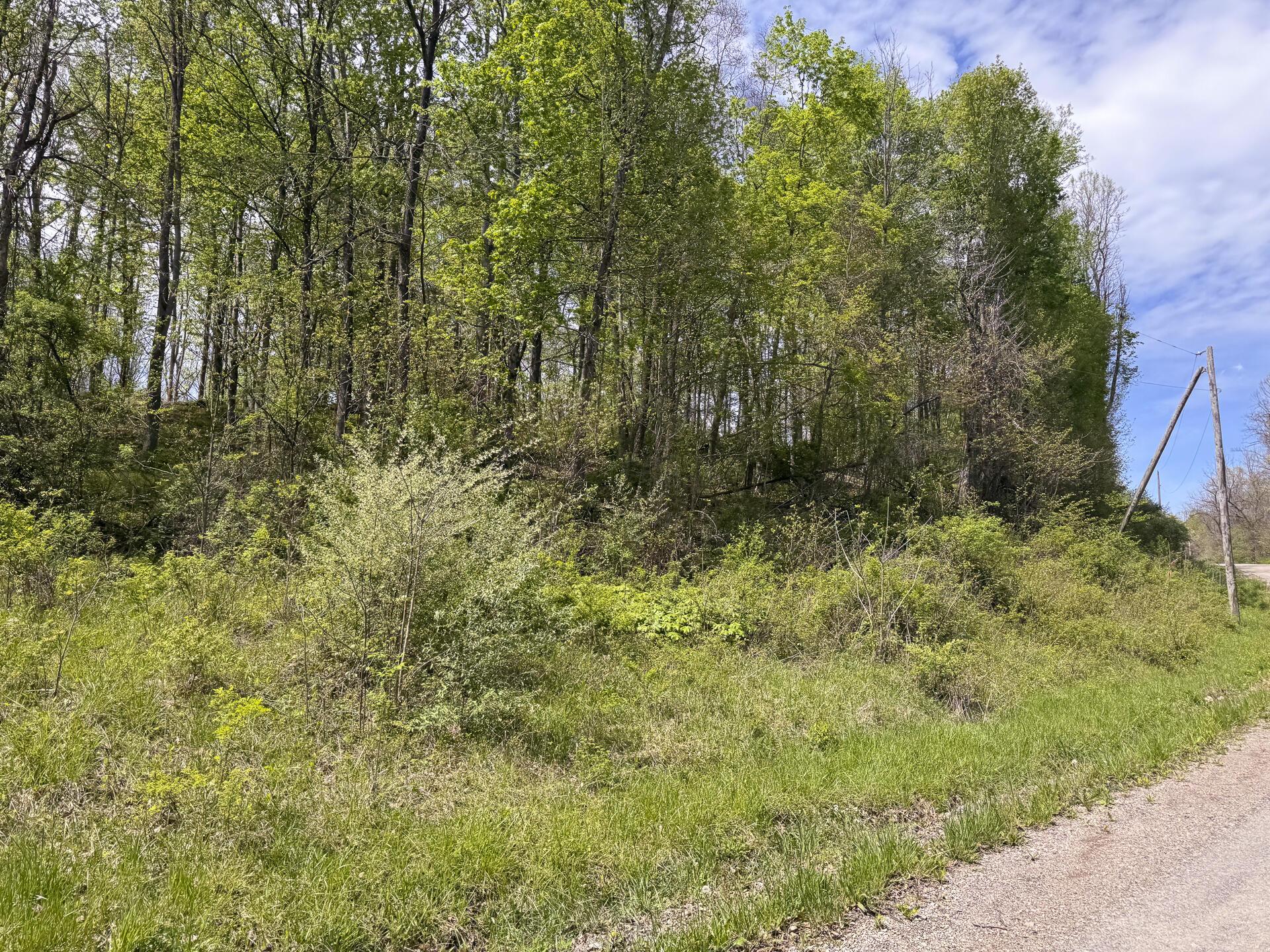 Township Rd 215-a #TRACT 8 AT SHAWNEE WOODS, Corning, Ohio image 17