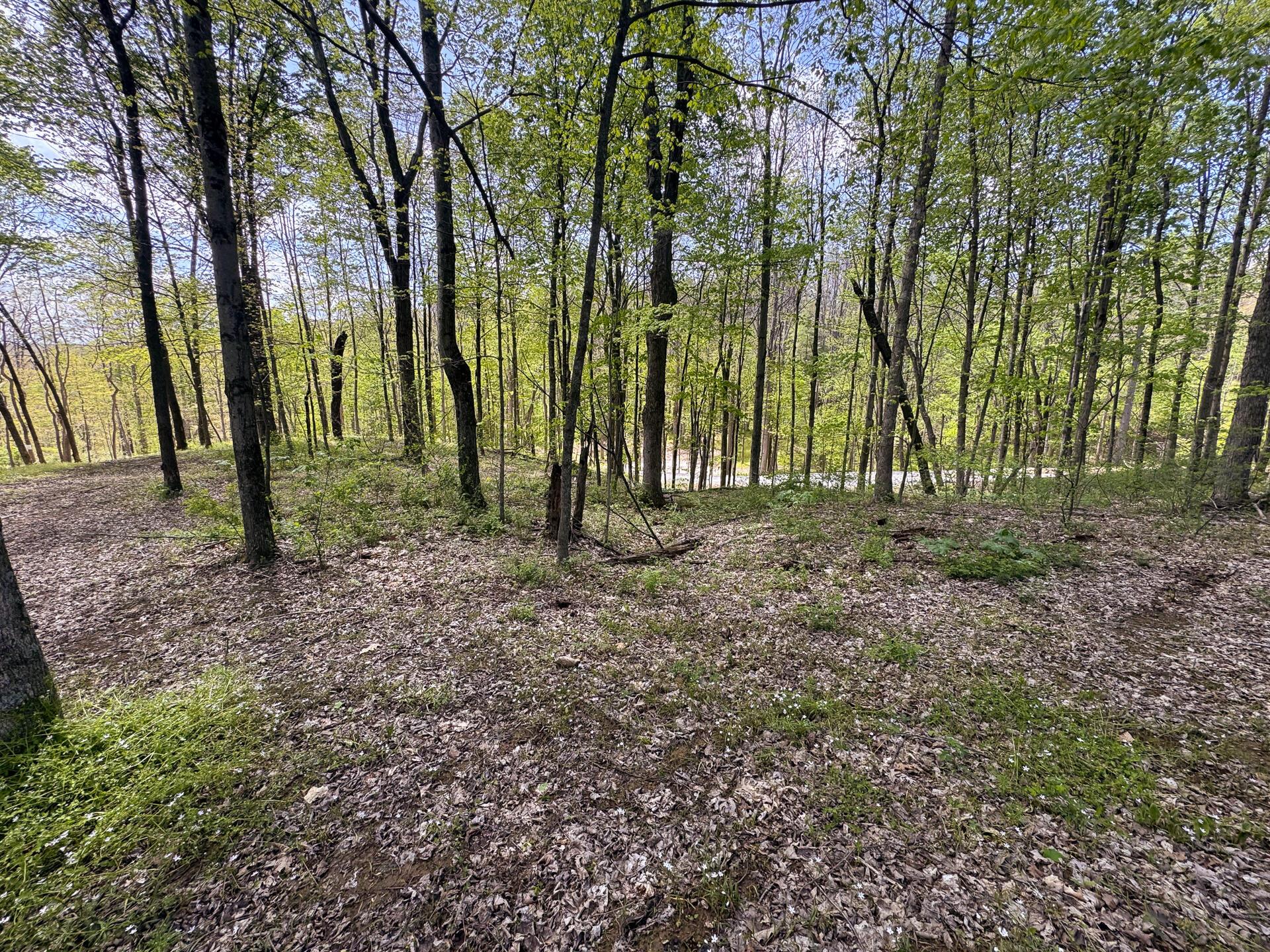 Township Rd 215-a #TRACT 8 AT SHAWNEE WOODS, Corning, Ohio image 15