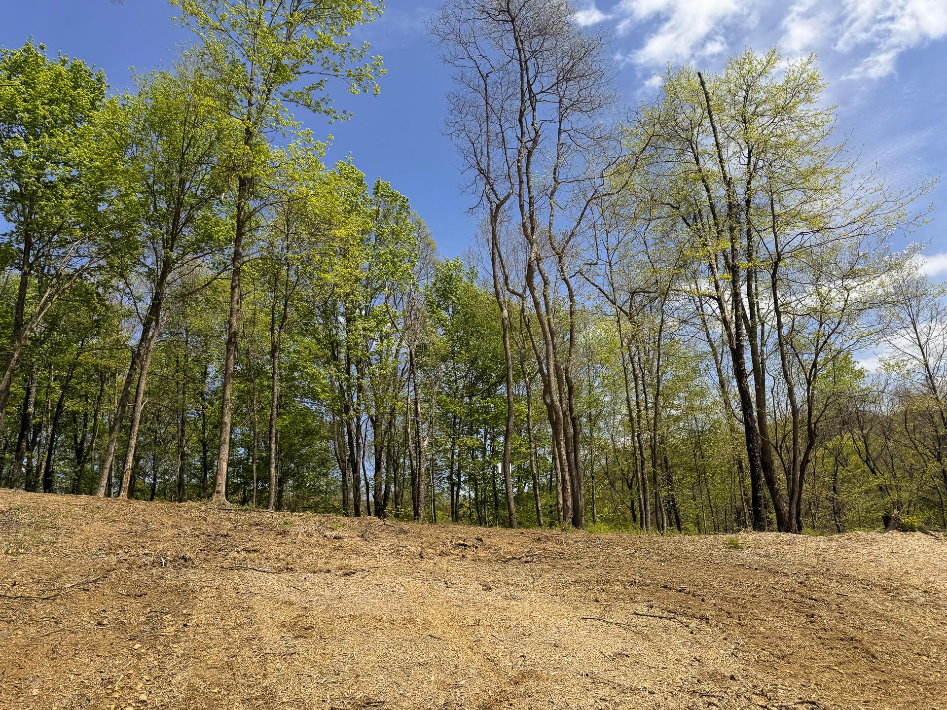 Township Rd 215-a #TRACT 8 AT SHAWNEE WOODS, Corning, Ohio image 35