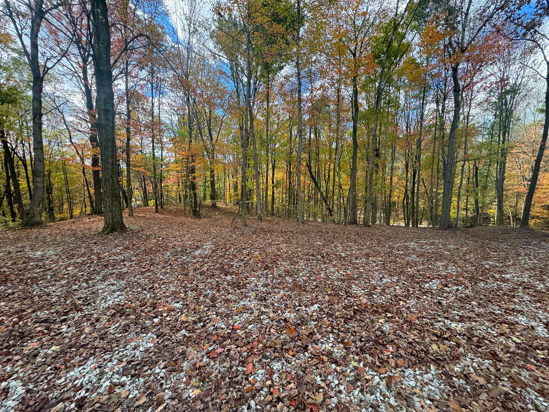 Township Rd 215-a #TRACT 8 AT SHAWNEE WOODS, Corning, Ohio image 7