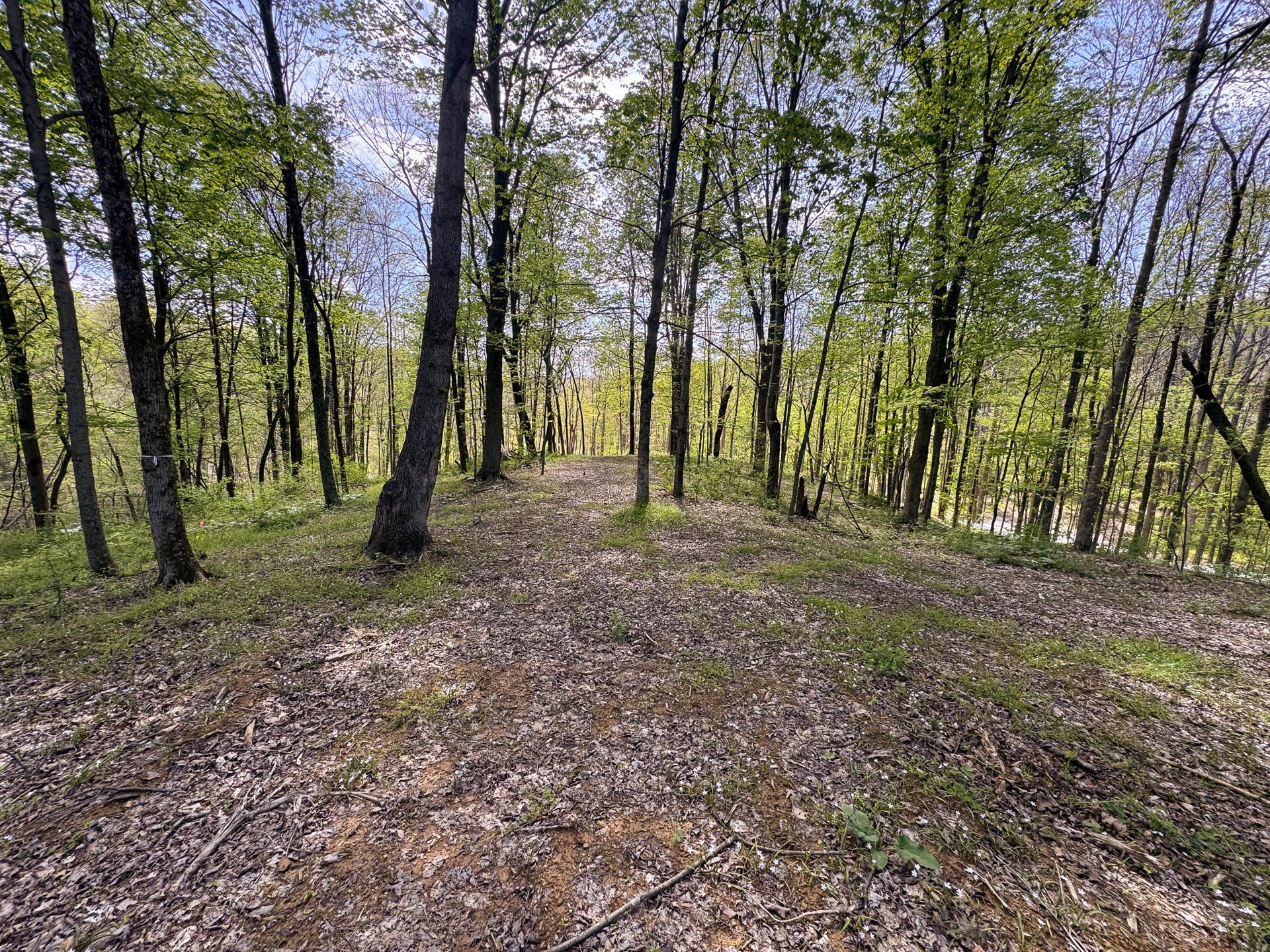 Township Rd 215-a #TRACT 8 AT SHAWNEE WOODS, Corning, Ohio image 3