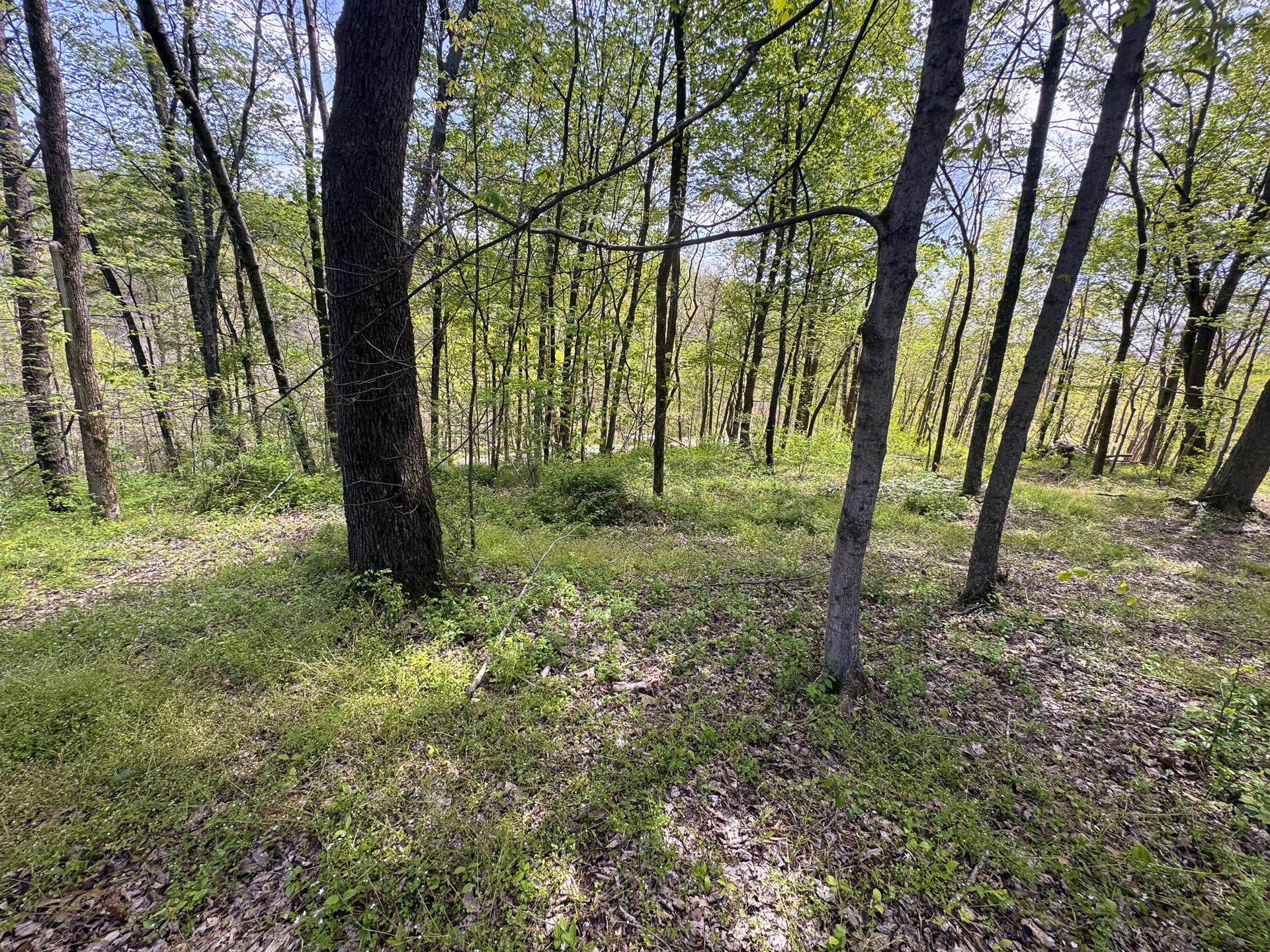 Township Rd 215-a #TRACT 8 AT SHAWNEE WOODS, Corning, Ohio image 36