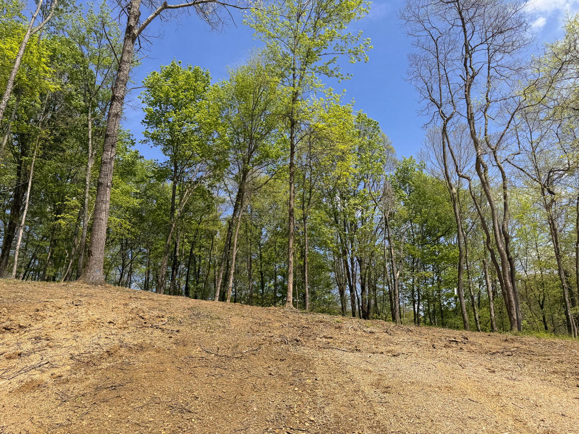 Township Rd 215-a #TRACT 8 AT SHAWNEE WOODS, Corning, Ohio image 34