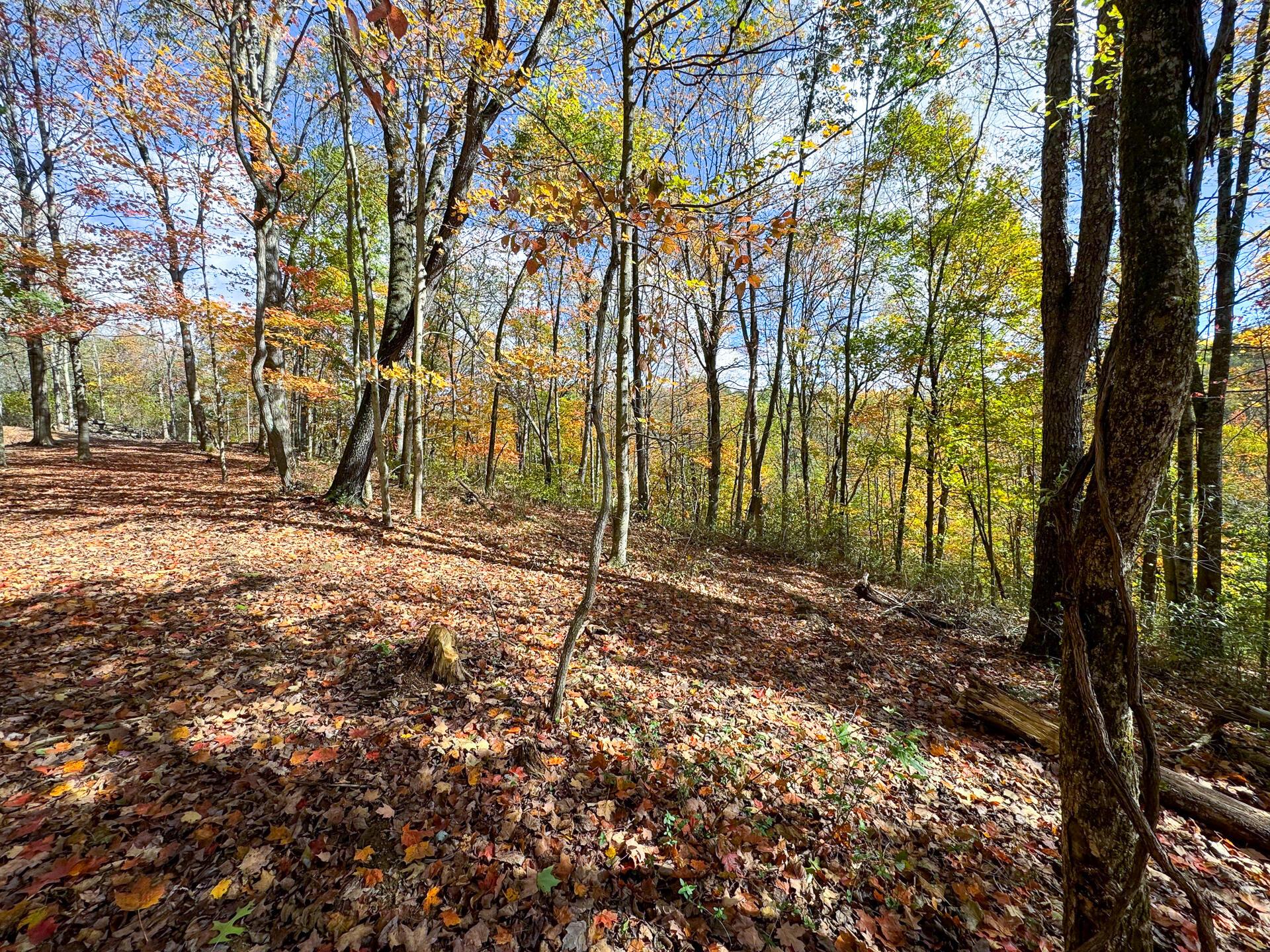 Township Rd 215-a #TRACT 8 AT SHAWNEE WOODS, Corning, Ohio image 26