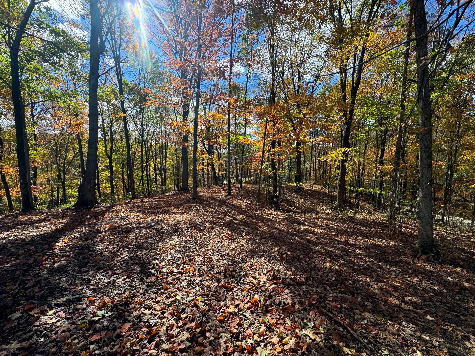 Township Rd 215-a #TRACT 8 AT SHAWNEE WOODS, Corning, Ohio image 27
