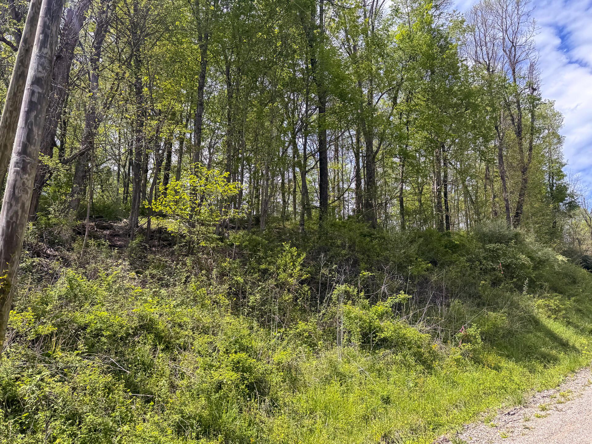 Township Rd 215-a #TRACT 8 AT SHAWNEE WOODS, Corning, Ohio image 18