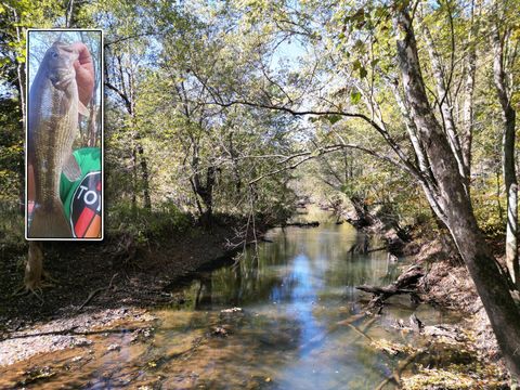 Photo of 1462 Keystone Road (Raccoon Creek Adventures) #(Raccoon Creek Adven, Vinton, OH 45686 (MLS # 225040732)