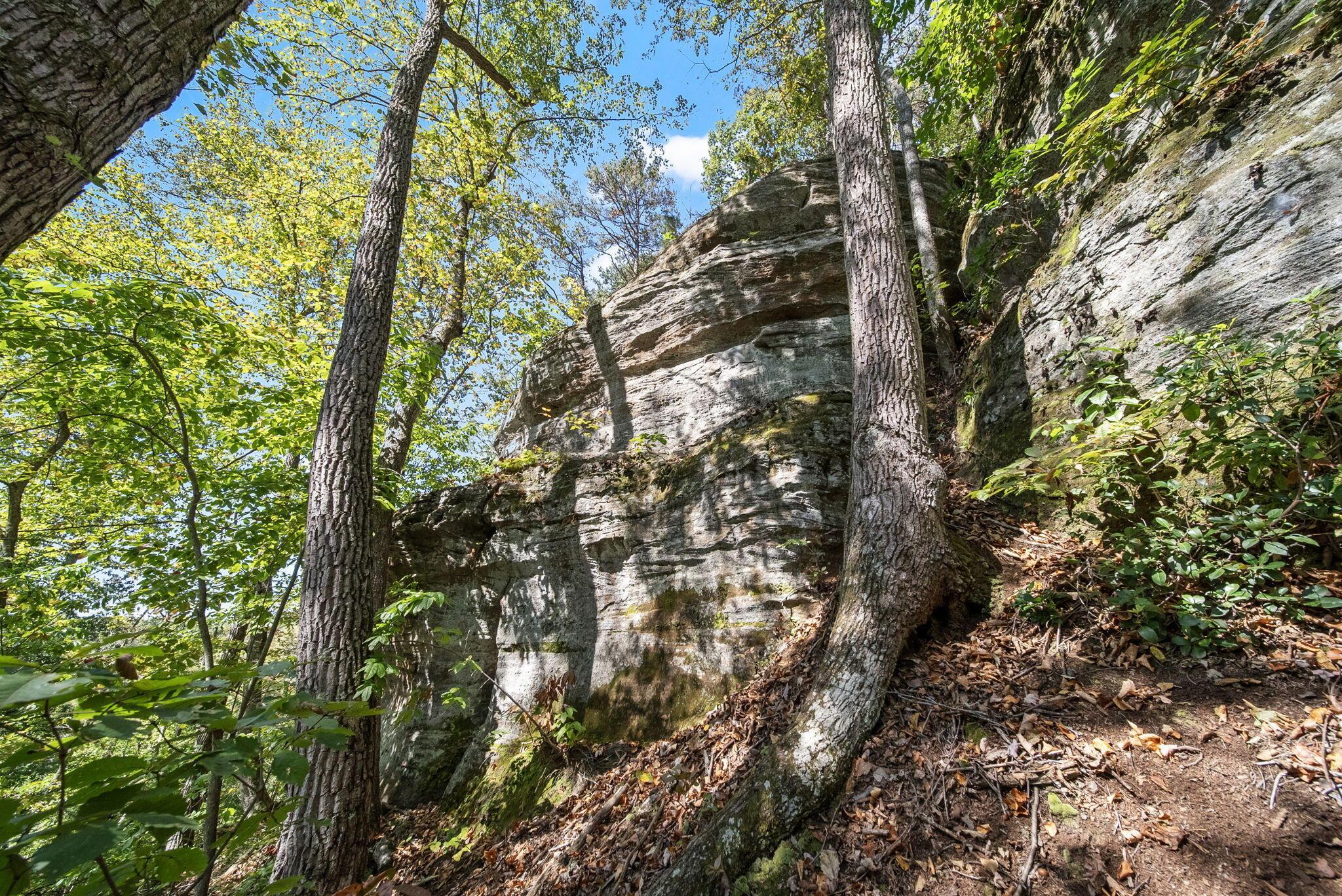 12089 Cantwell Cliffs Road