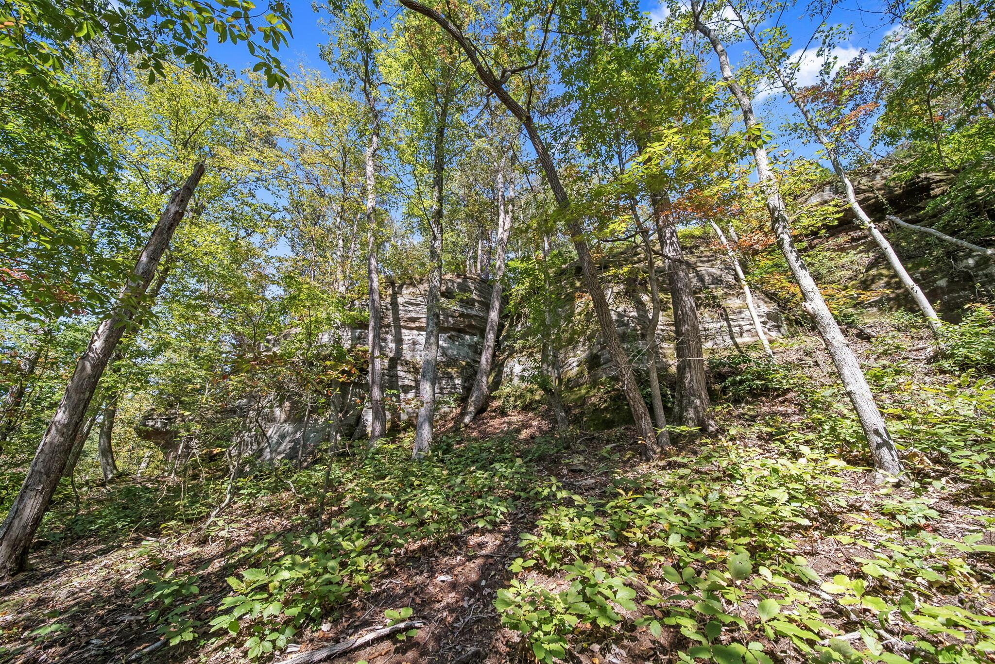 12089 Cantwell Cliffs Road