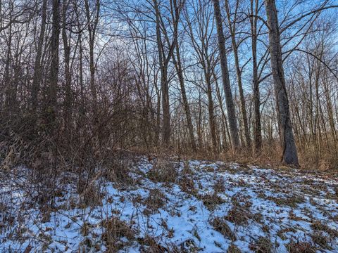 Tiny photo for 6746 Blue Bell Road, Cumberland, OH 43732 (MLS # 226002368)