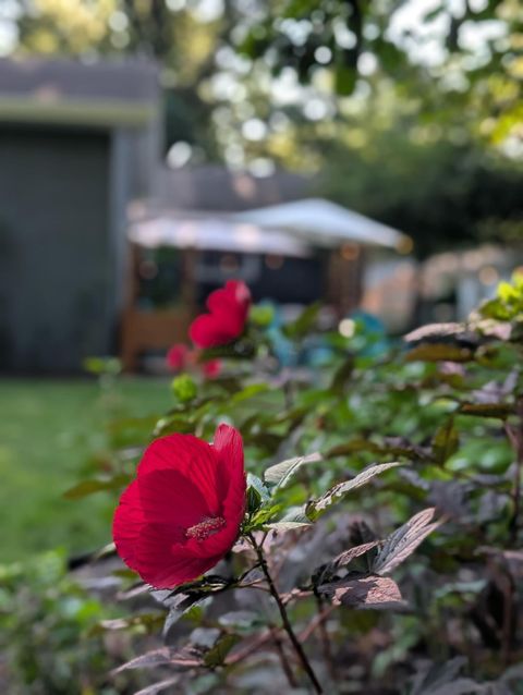 Tiny photo for 135 Serran Drive, Columbus, OH 43230 (MLS # 225044628)