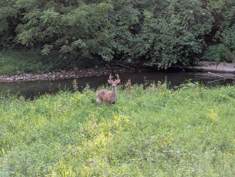 Tiny photo for 135 Serran Drive, Columbus, OH 43230 (MLS # 225044628)