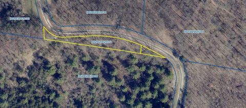 Photo of 0 Raysville Road, Wellston, OH 45692 (MLS # 226009610)