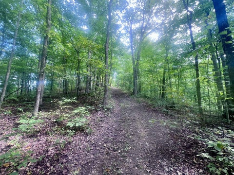 Vacant Land For Sale - 1337 Township Road 172<br/> Proctorville, OH 45669
