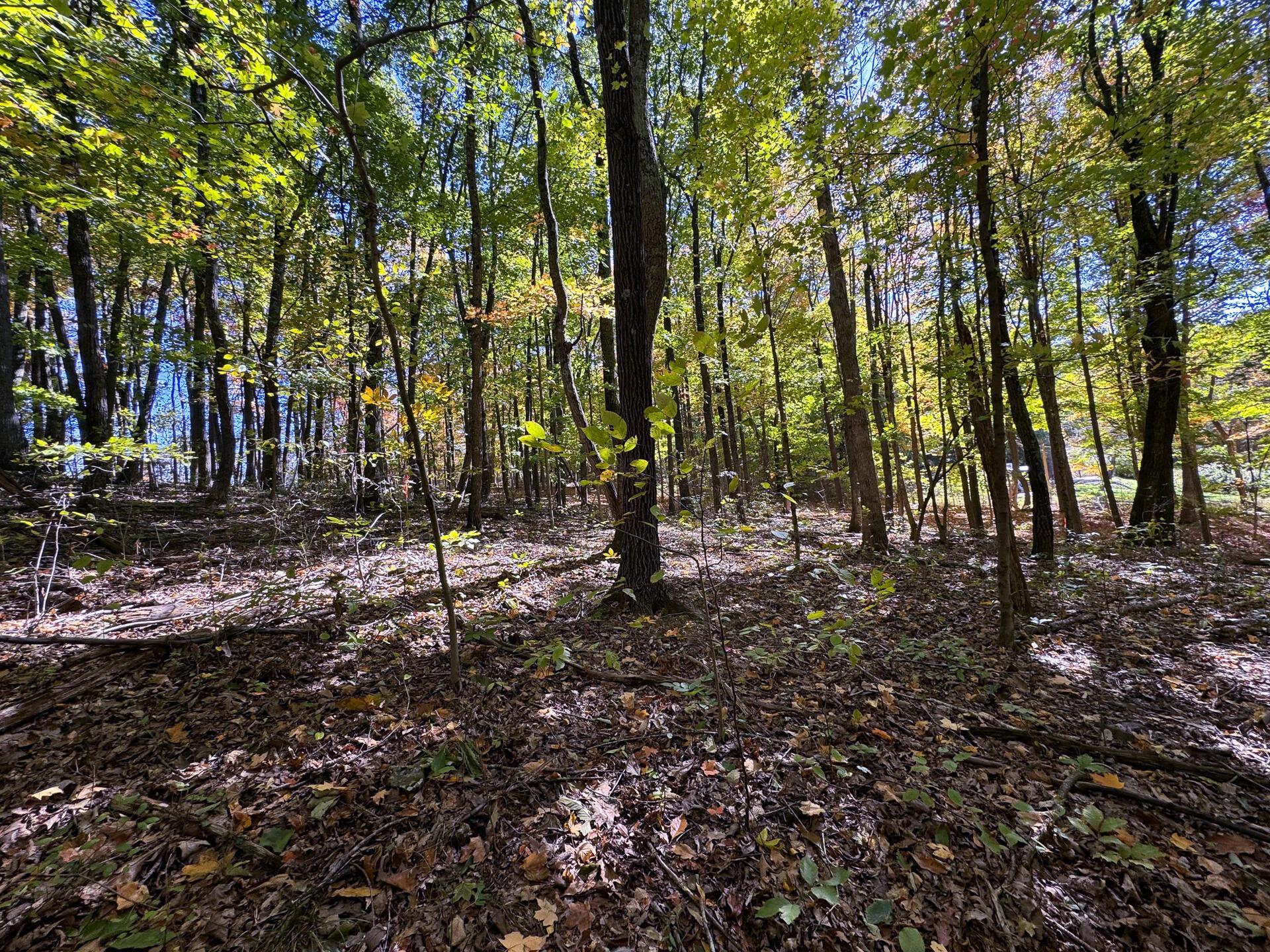 Easterday Road #TRACT 8 AT EASTERDAY WOO, Chillicothe, Ohio image 17