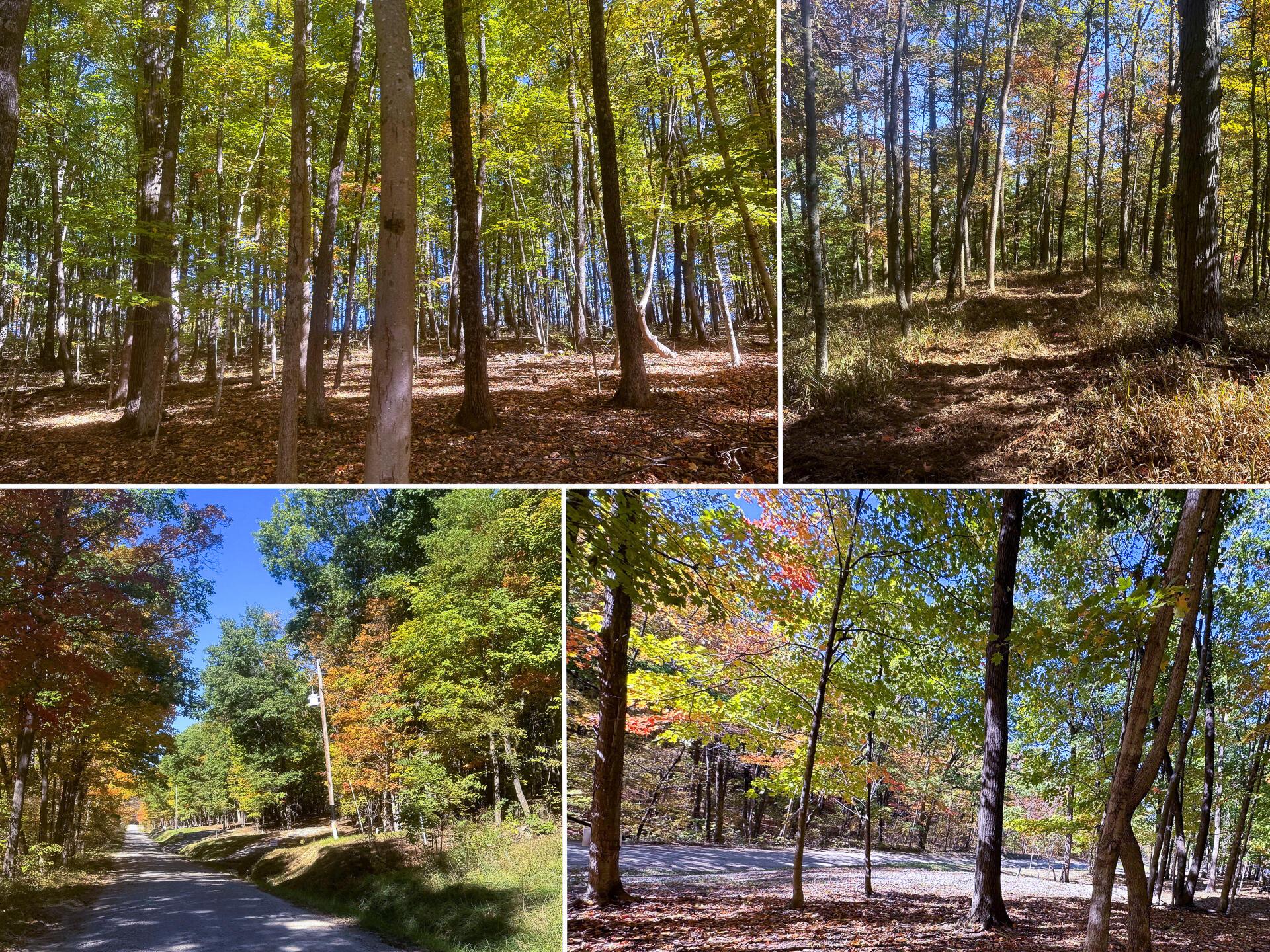 Easterday Road #TRACT 8 AT EASTERDAY WOO, Chillicothe, Ohio image 9