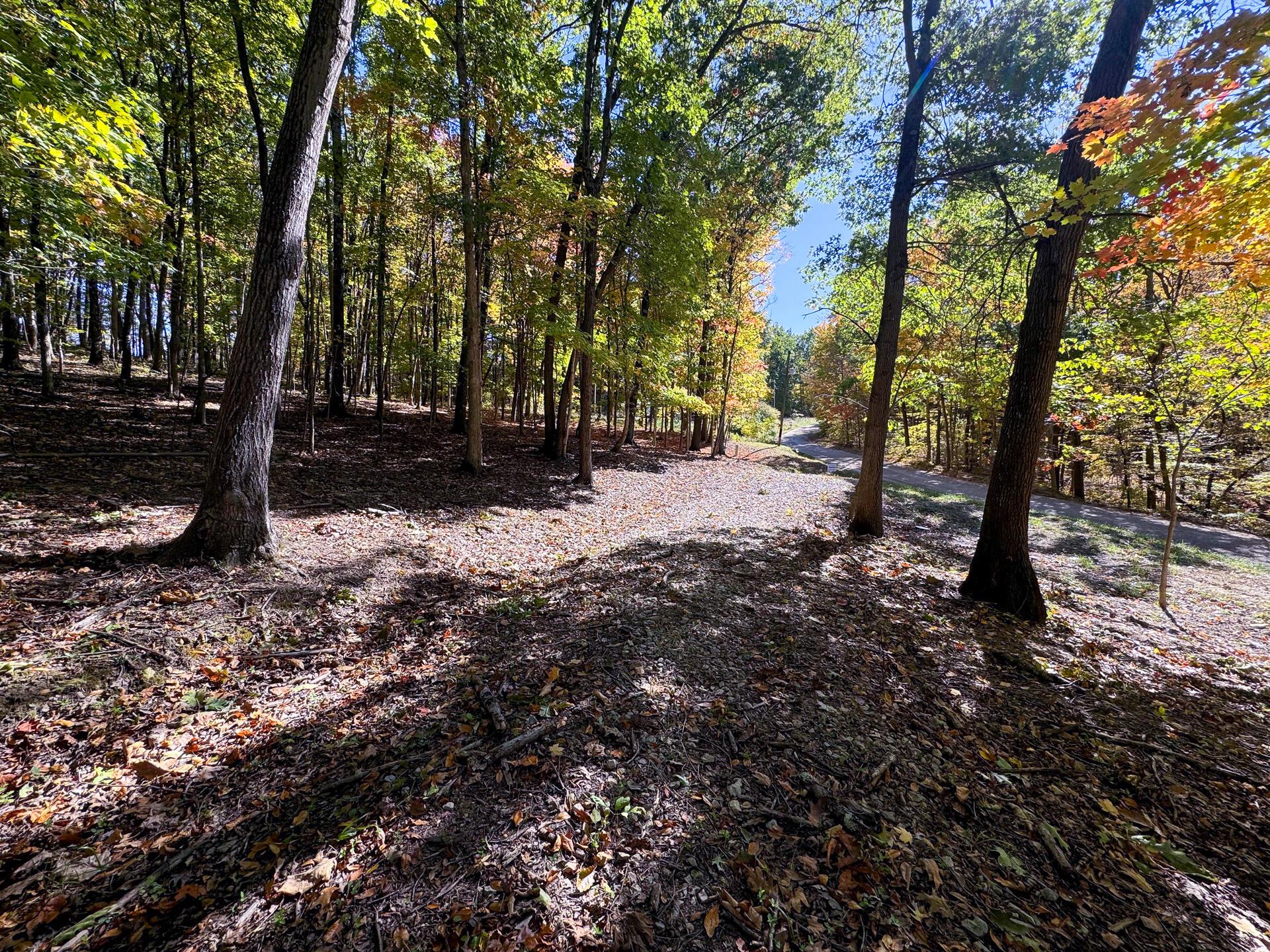 Easterday Road #TRACT 8 AT EASTERDAY WOO, Chillicothe, Ohio image 21
