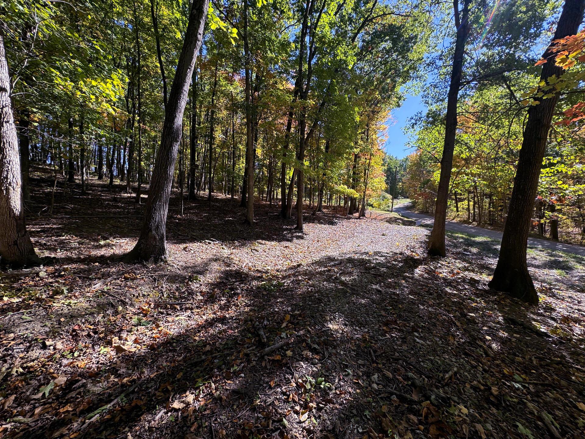Easterday Road #TRACT 8 AT EASTERDAY WOO, Chillicothe, Ohio image 19