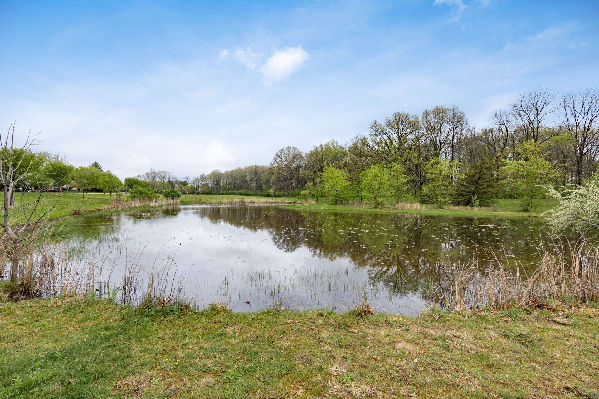 5823 Gaelic Court, Dublin, Ohio image 46