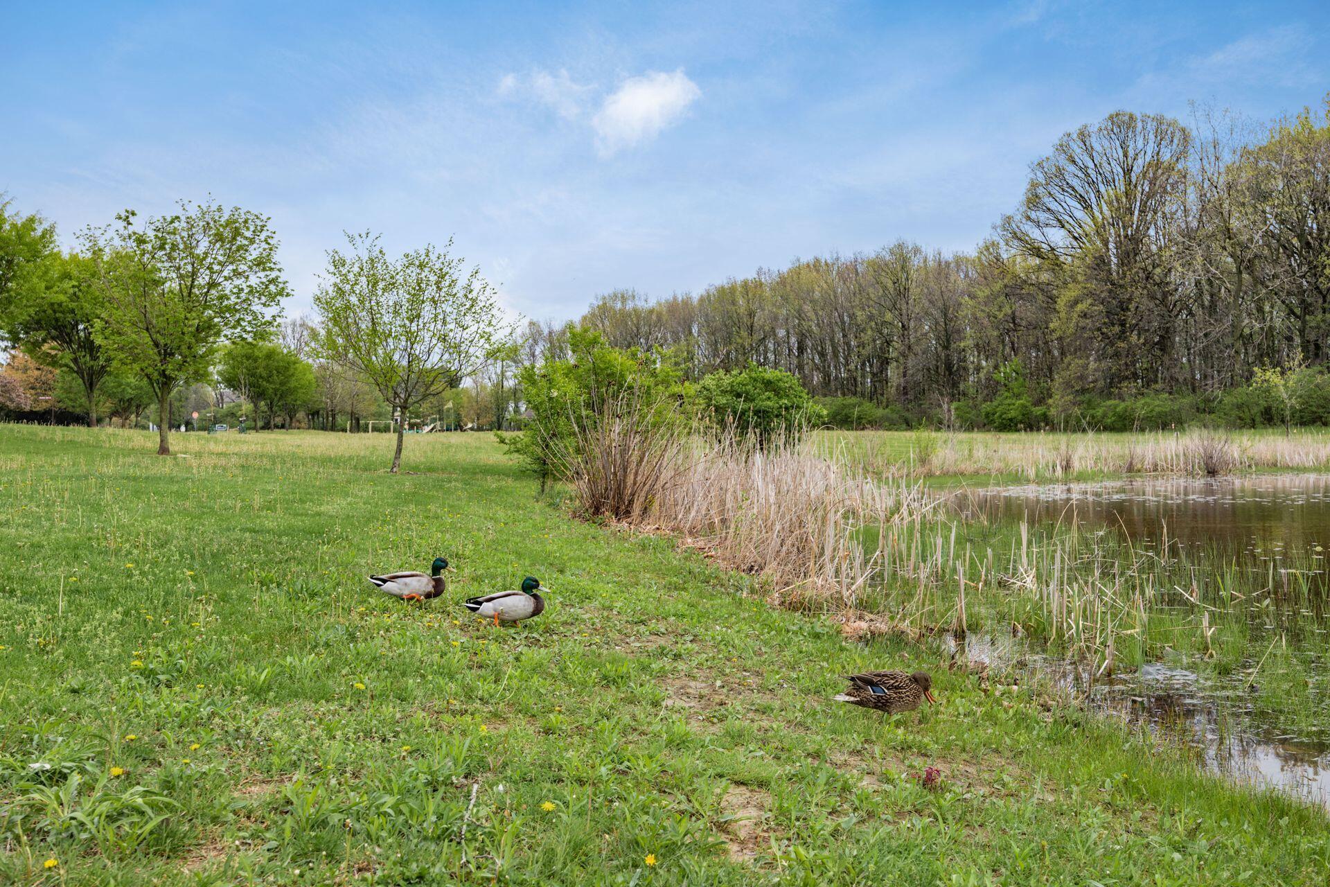 5823 Gaelic Court, Dublin, Ohio image 48
