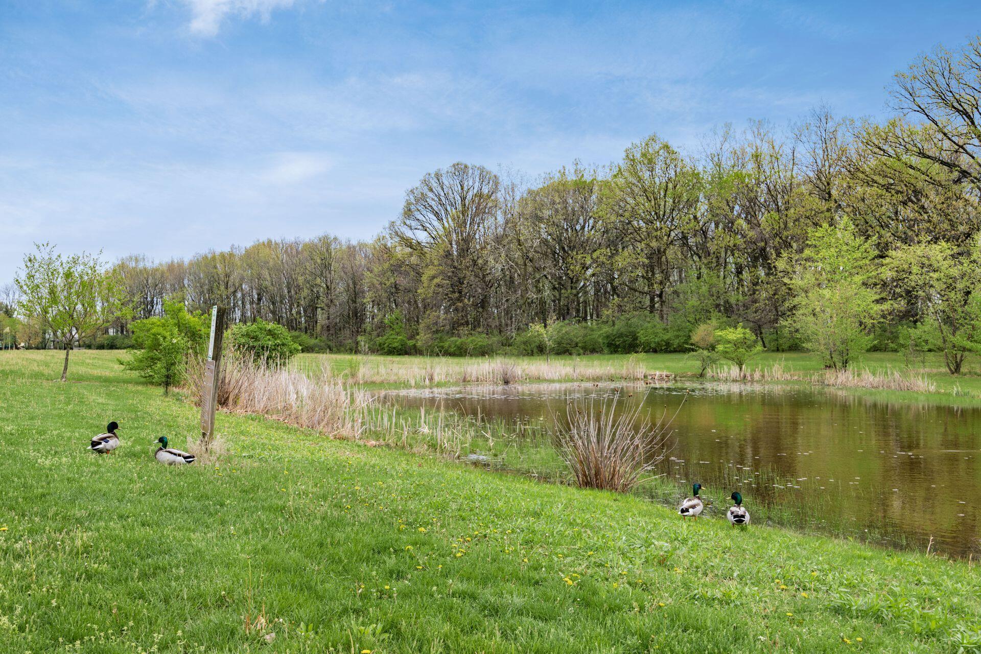 5823 Gaelic Court, Dublin, Ohio image 47