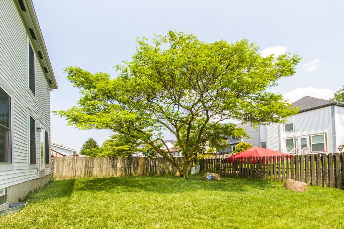 1248 Treehaven Lane, Columbus, Ohio image 21