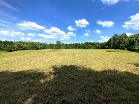Tiny photo for 7390 Possum Street, Mount Vernon, OH 43050 (MLS # 226025718)