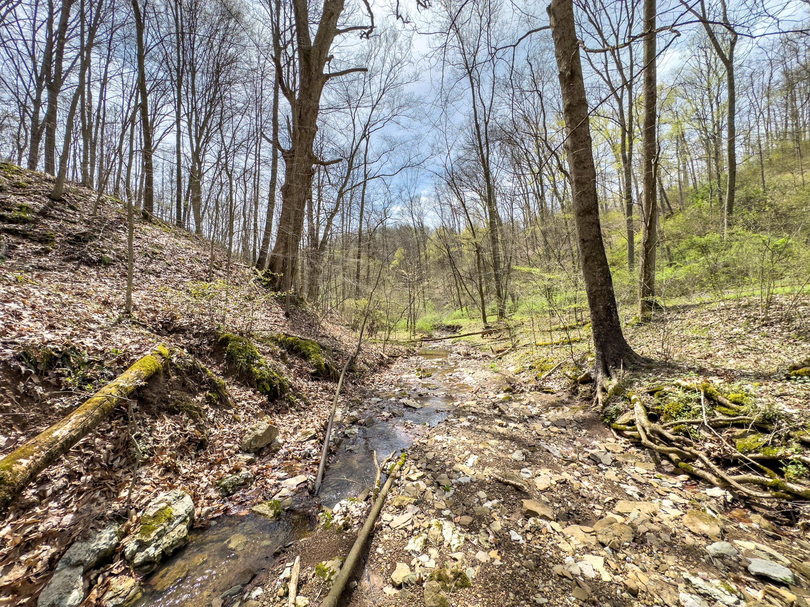 34108 Edwina Road, Lewisville, Ohio image 39