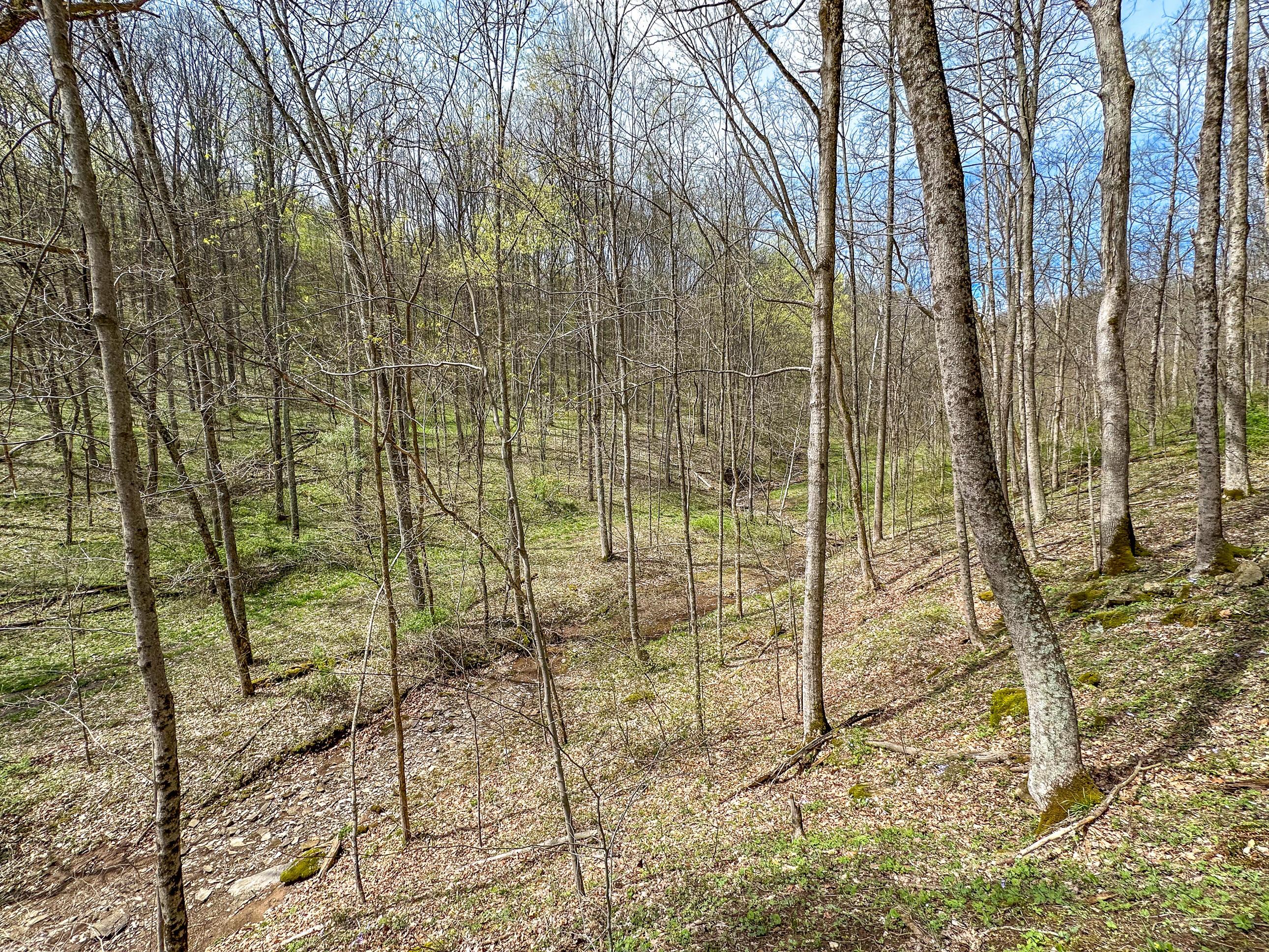 34108 Edwina Road, Lewisville, Ohio image 33