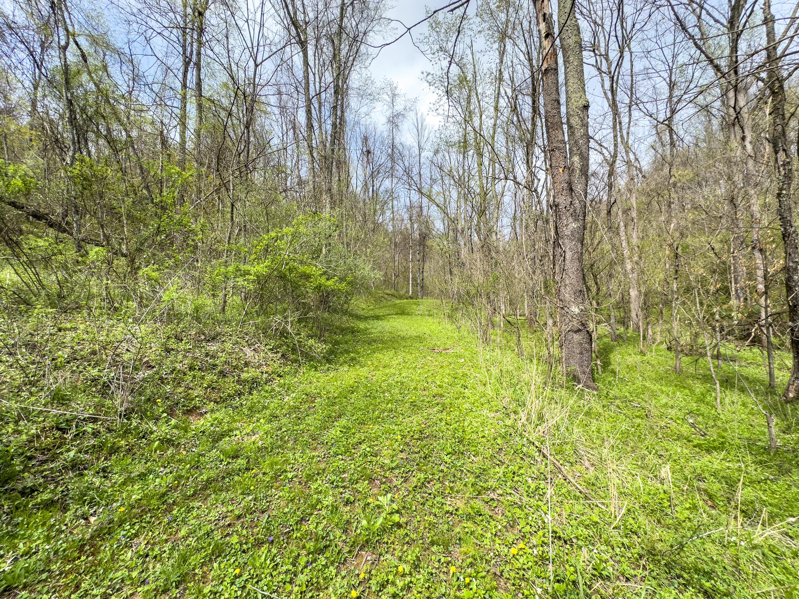 34108 Edwina Road, Lewisville, Ohio image 43