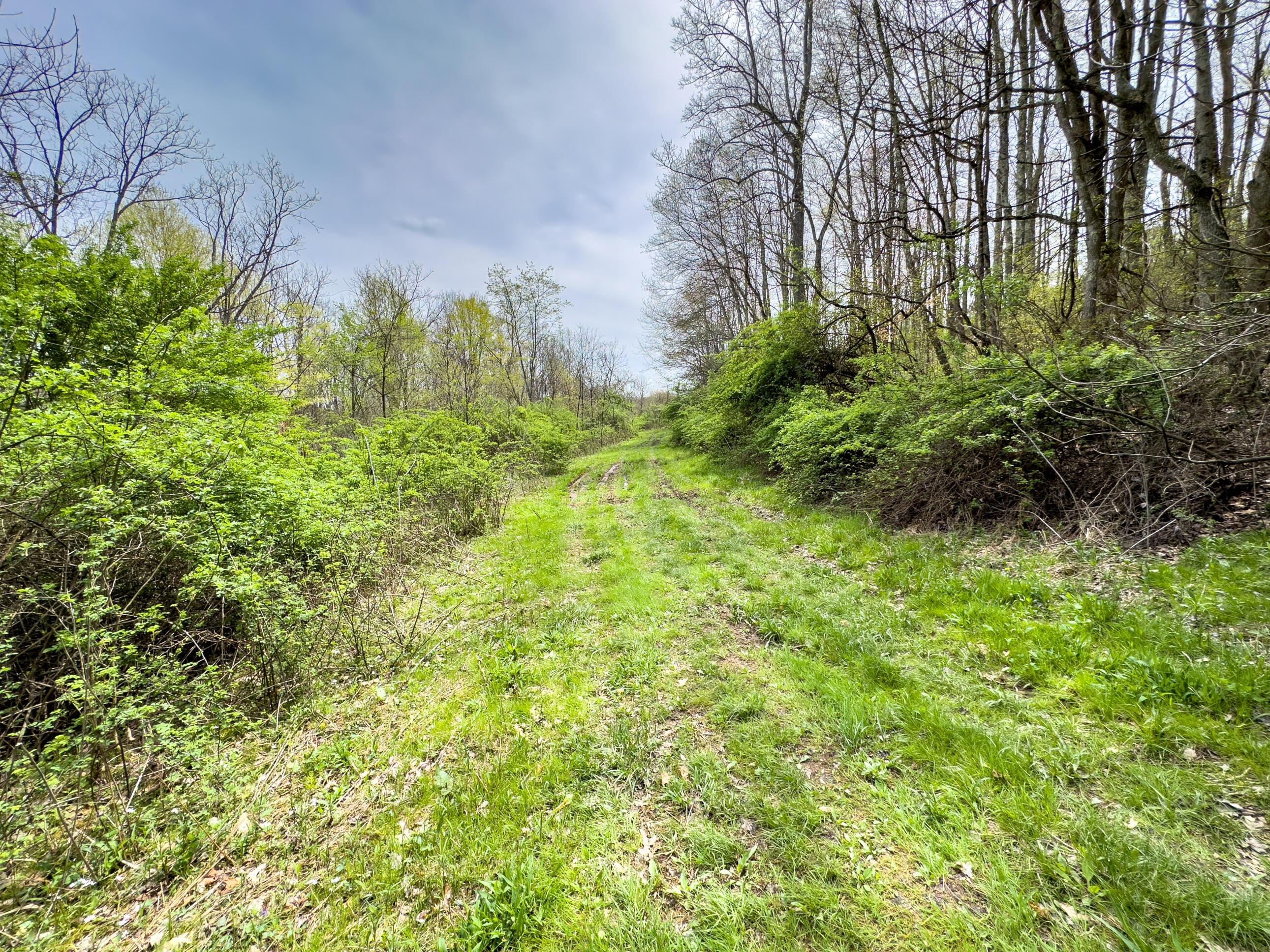 34108 Edwina Road, Lewisville, Ohio image 21