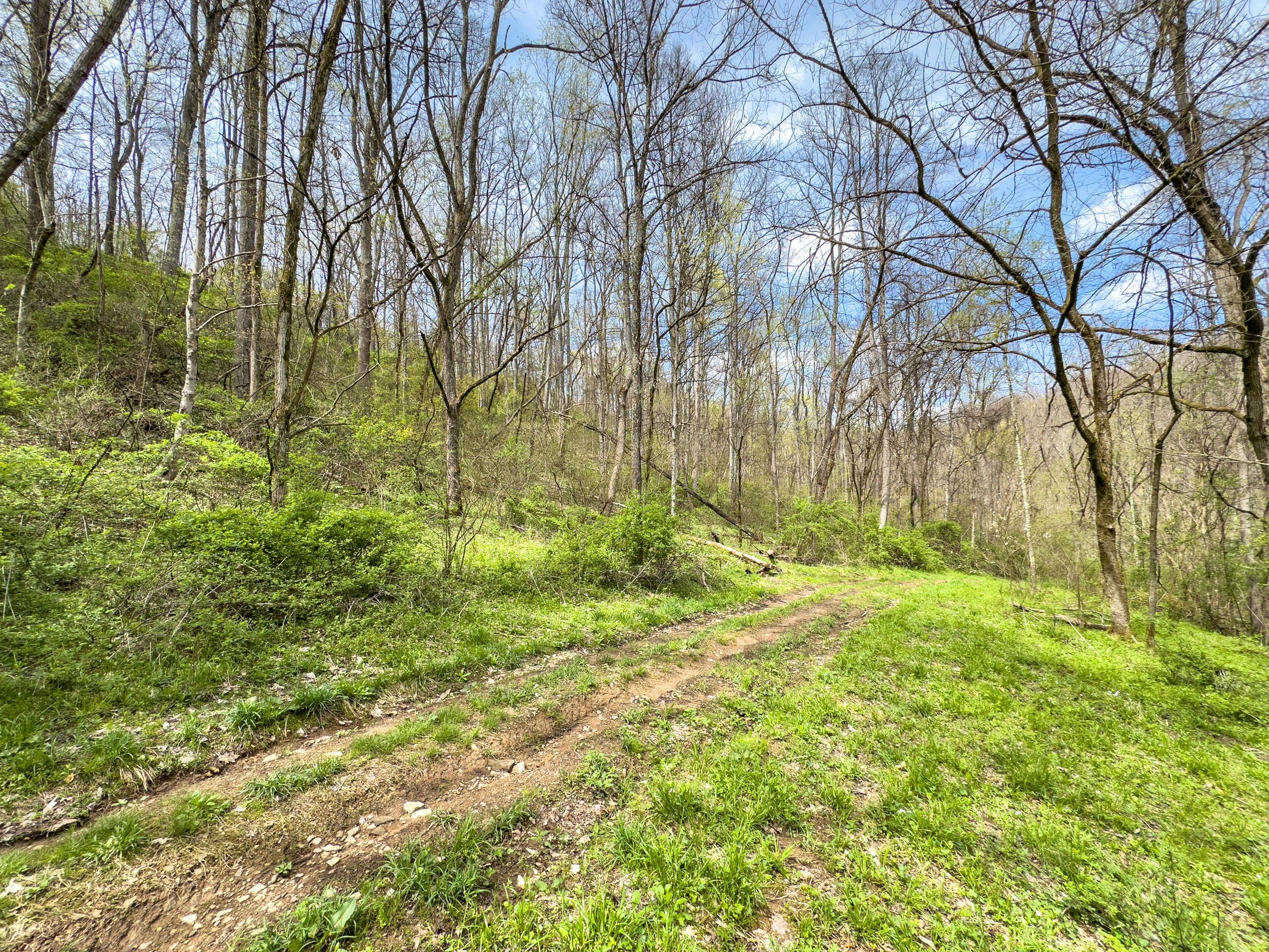 34108 Edwina Road, Lewisville, Ohio image 22