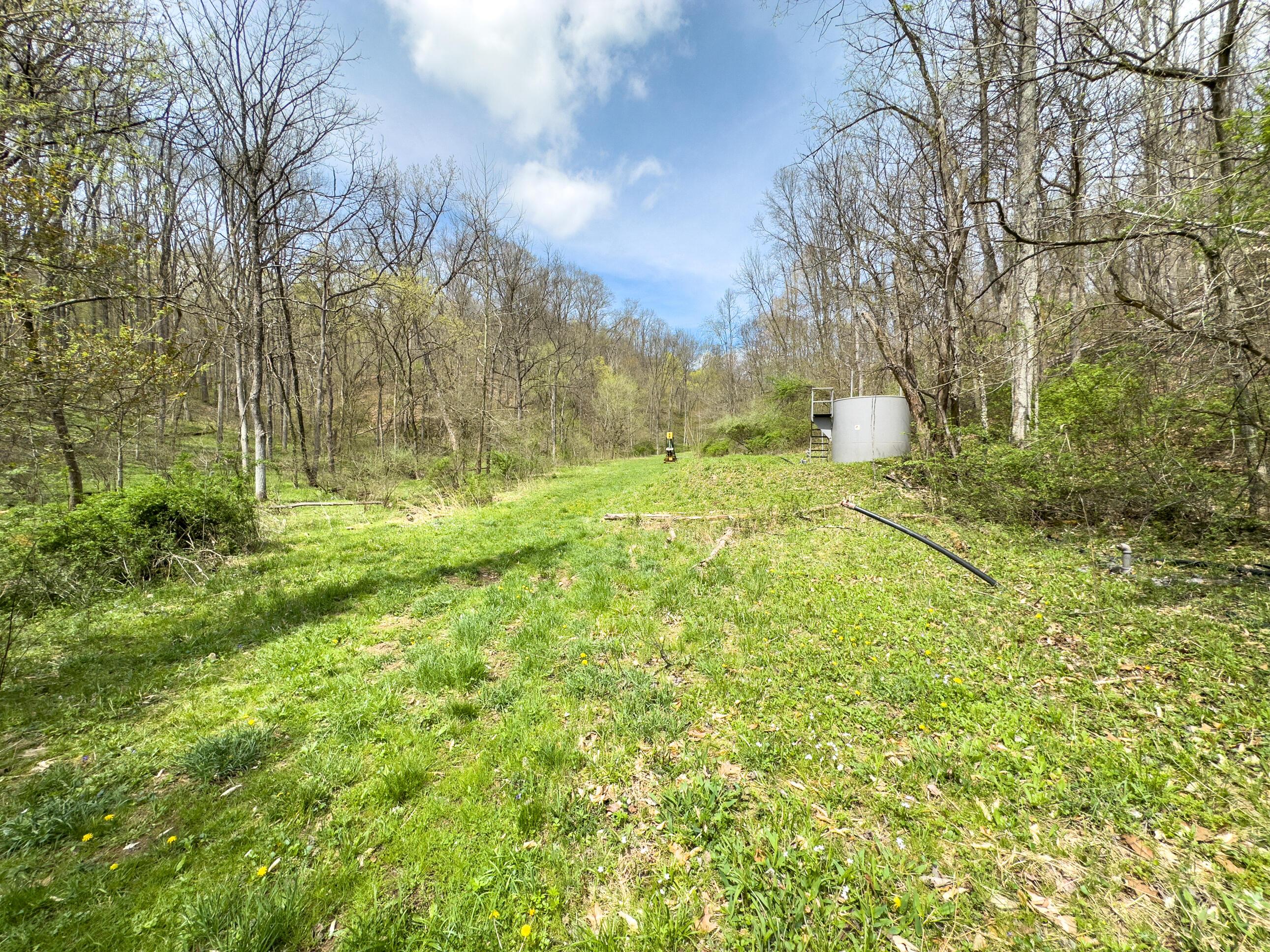 34108 Edwina Road, Lewisville, Ohio image 34