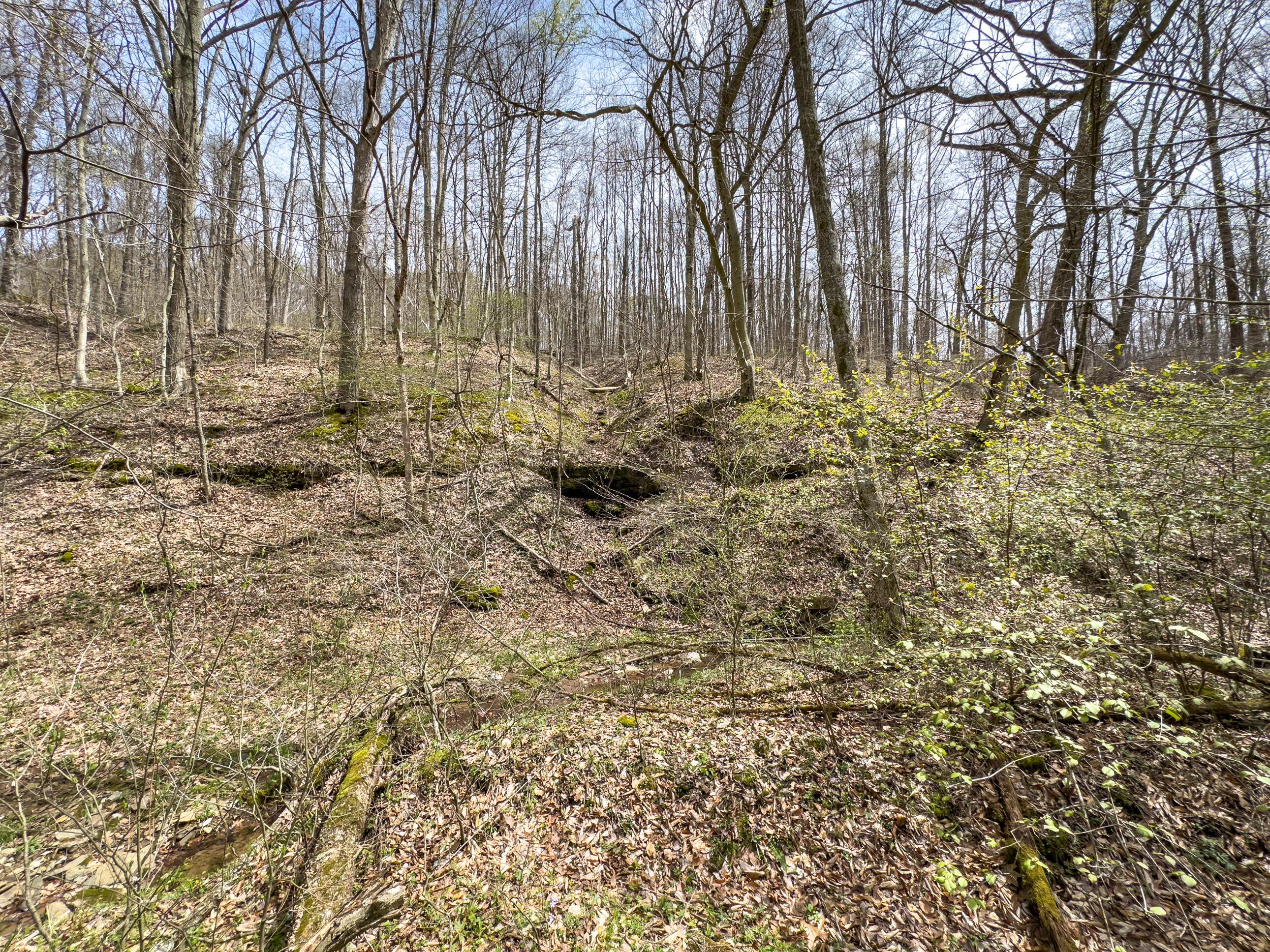 34108 Edwina Road, Lewisville, Ohio image 40
